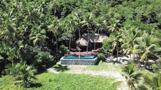a pool in a tropical area