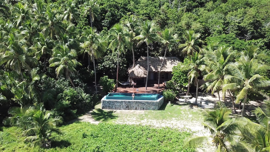 a pool in a tropical area,