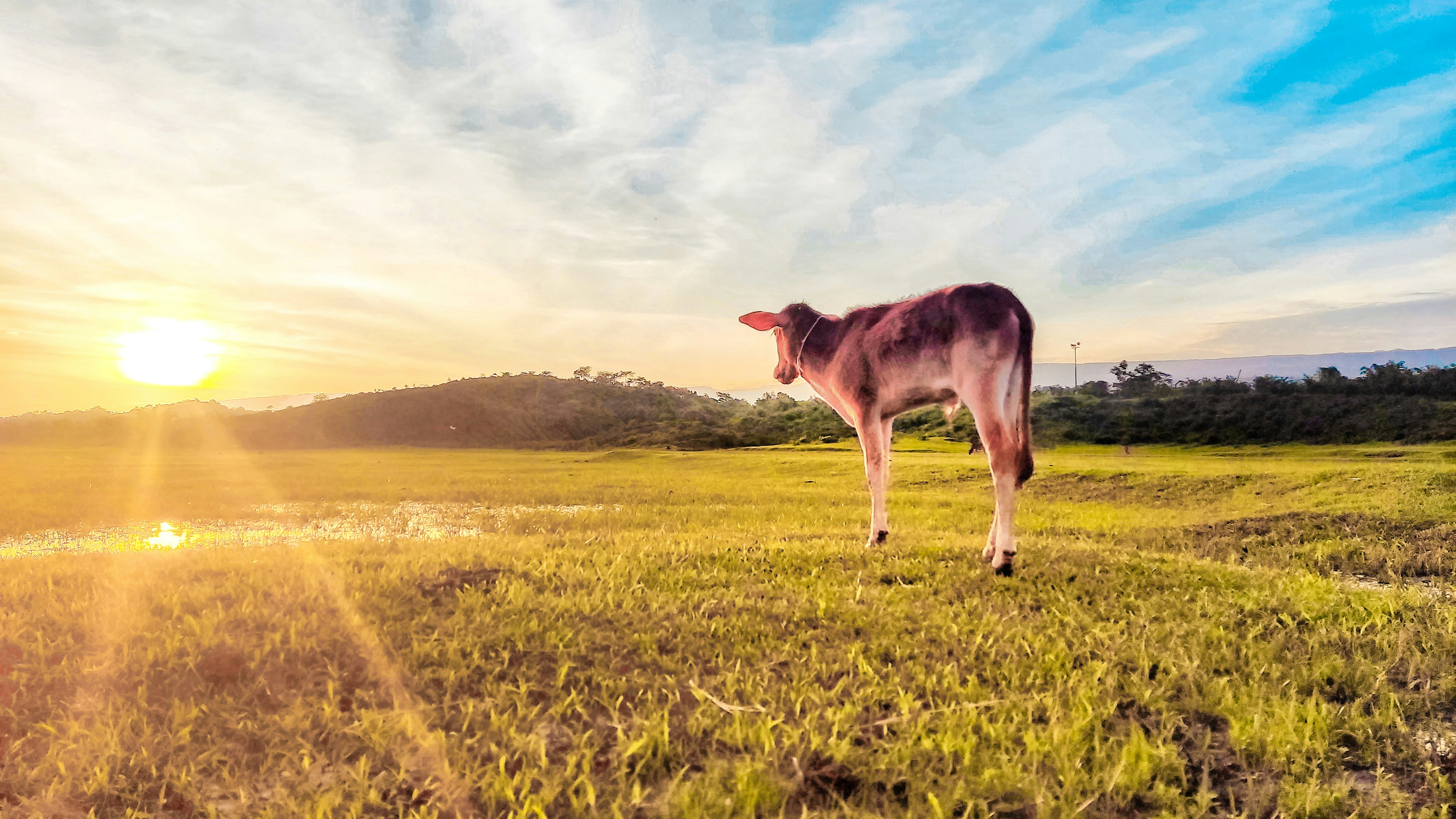 Photo by mastergraphy