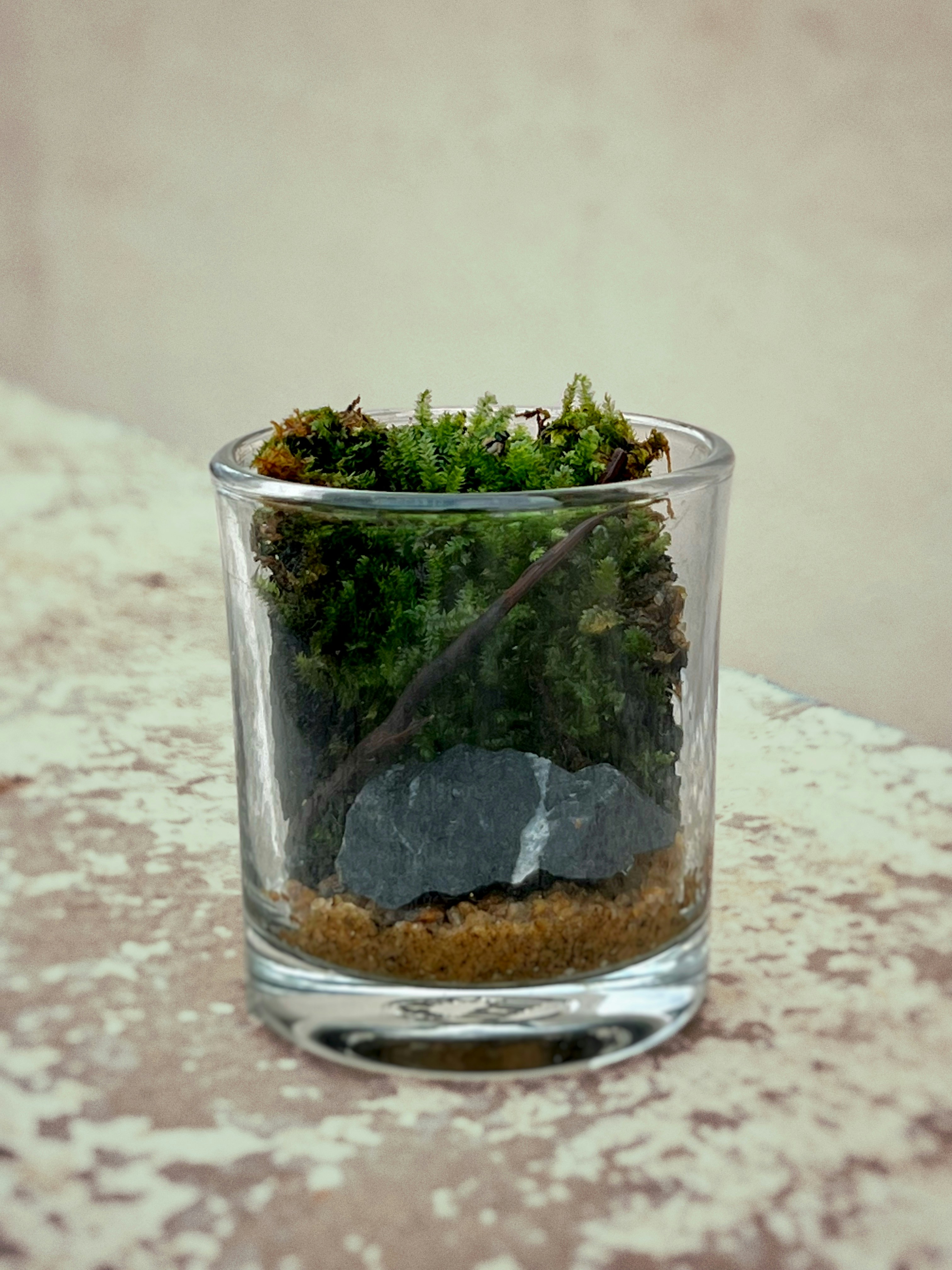 how long does preserved moss last