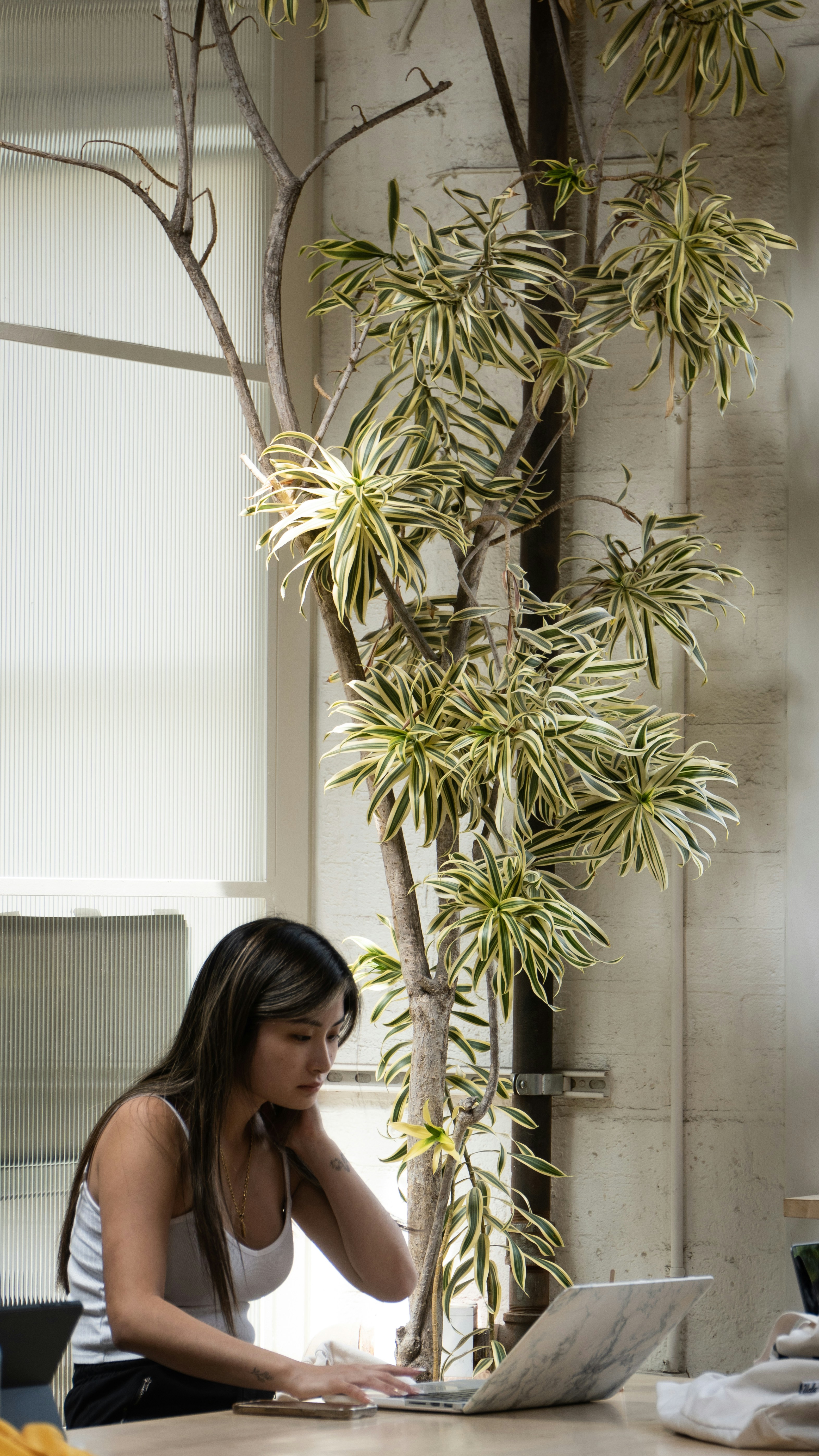 Eine Frau sitzt mit einem Laptop an einem Tisch