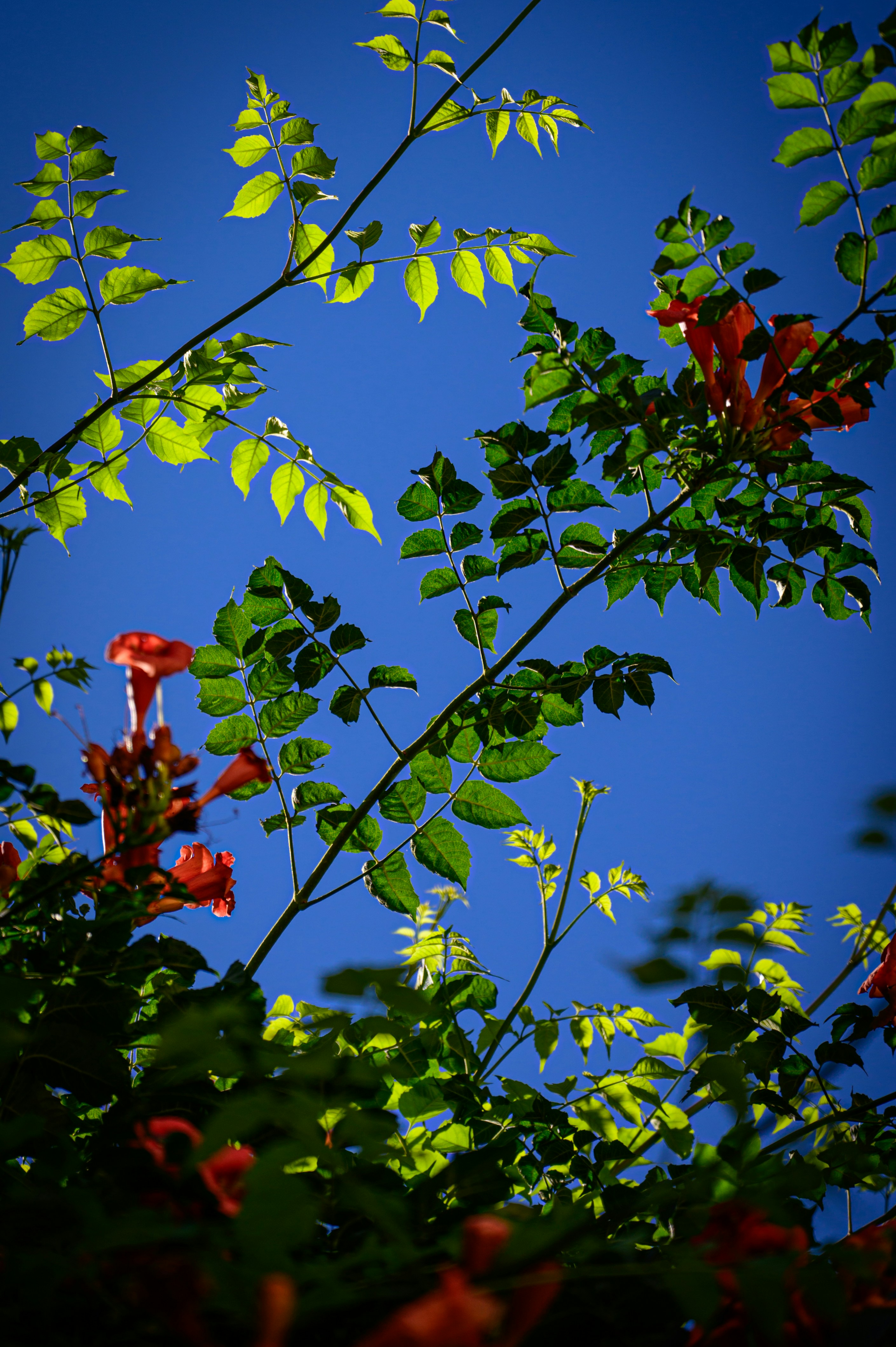 Photo by peek_a_boo_who