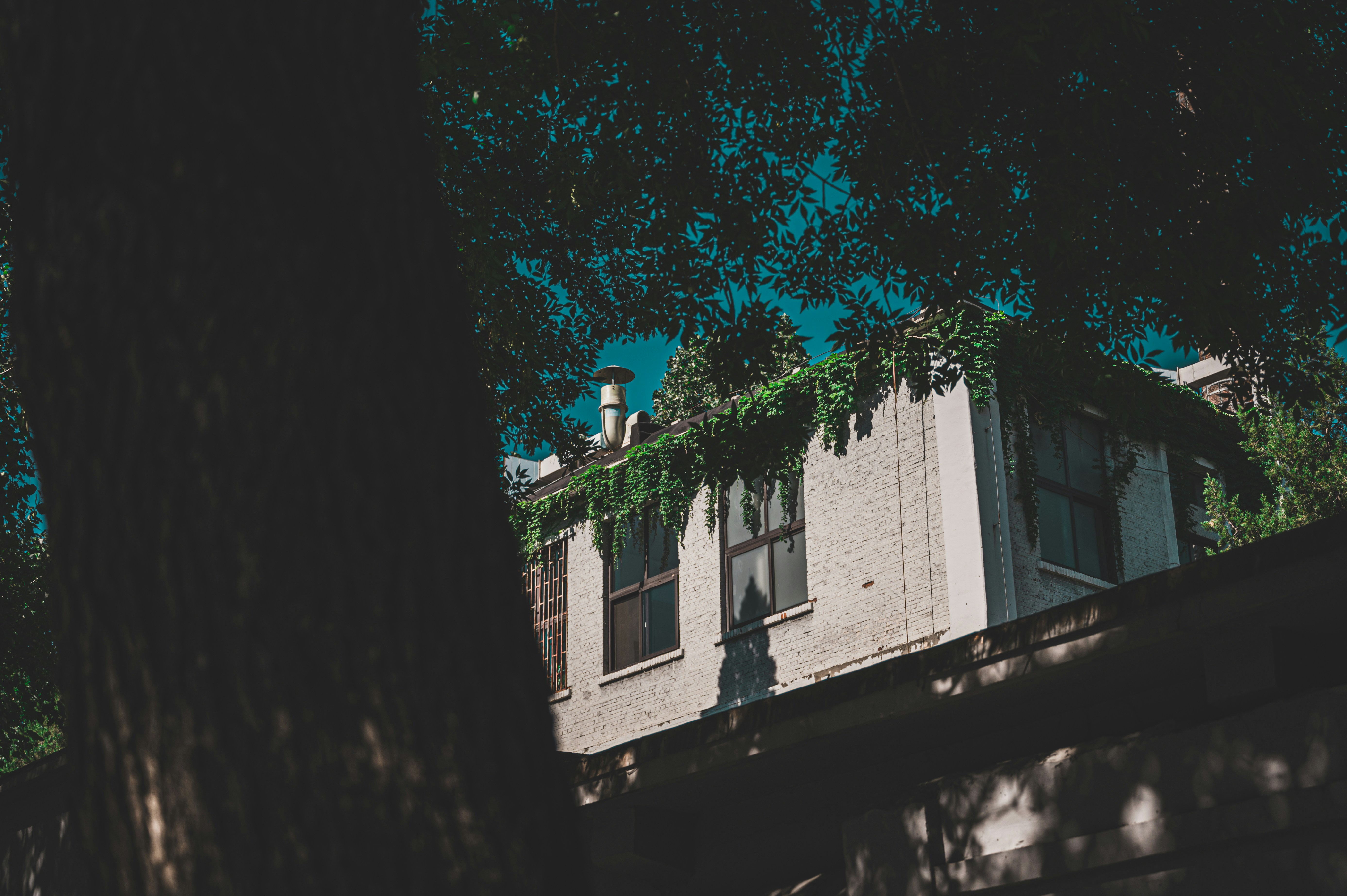 Photo by peek_a_boo_who