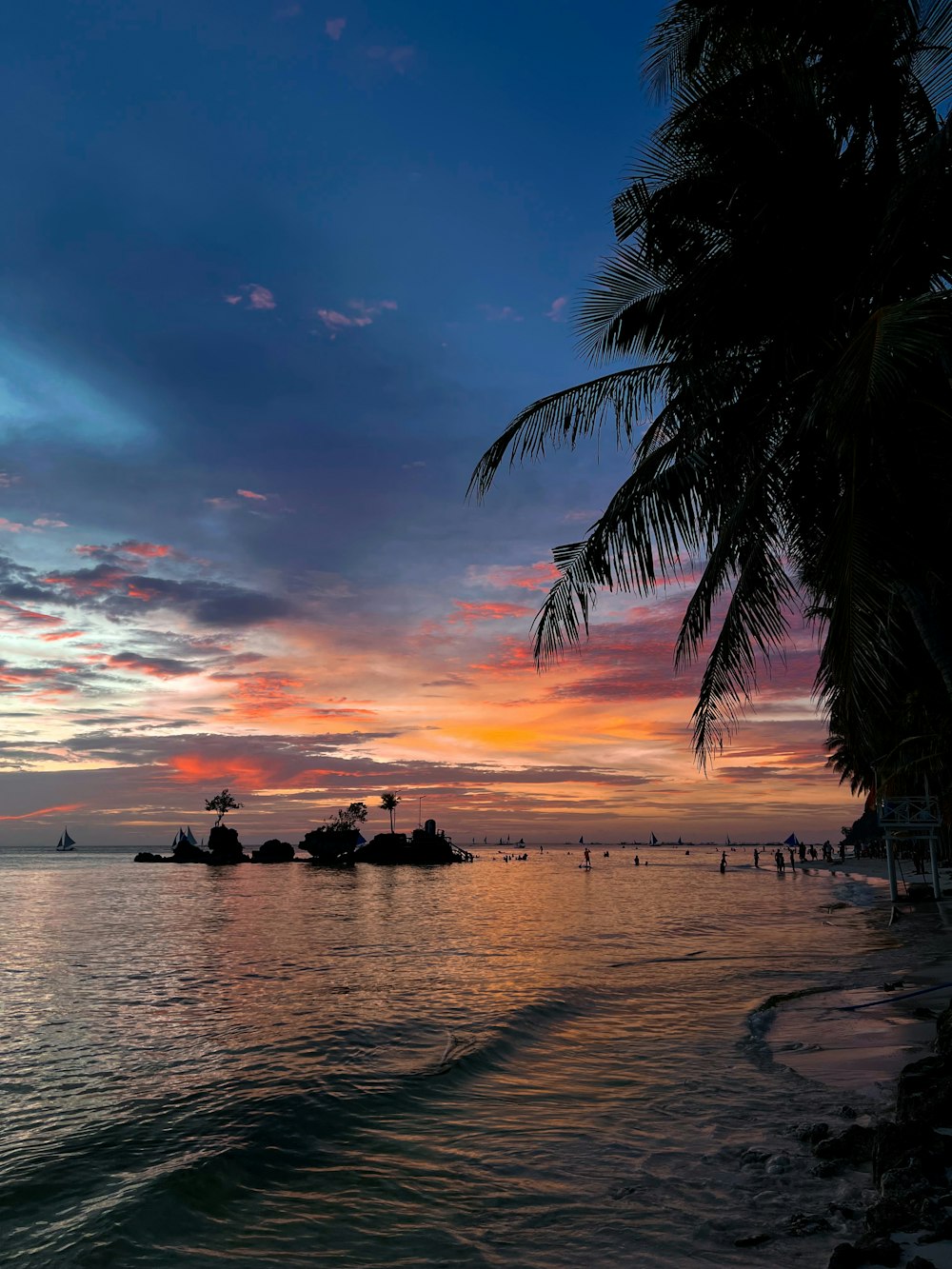 a beach with a palm tree and a body of water with a sunset