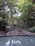 A serene natural setting features a pond bordered by stone walls, surrounded by dense foliage and tall trees. In the background, a cabin or small house is partially visible through the lush green vegetation.