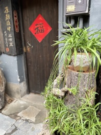 A rustic wooden door decorated with a red square paper featuring Chinese calligraphy, possibly a fortune symbol. Adjacent to the door, there is a tree stump with lush green plants and a small turtle figurine on it. The scene is complemented by a weathered stone path and some traditional-looking signage mounted on the wall.