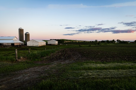 A serene view of the farm surrounded by nature.