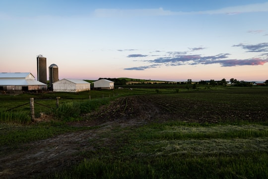 Digital artwork showing a peaceful rural landscape with barns and rolling hills under a pale sky.