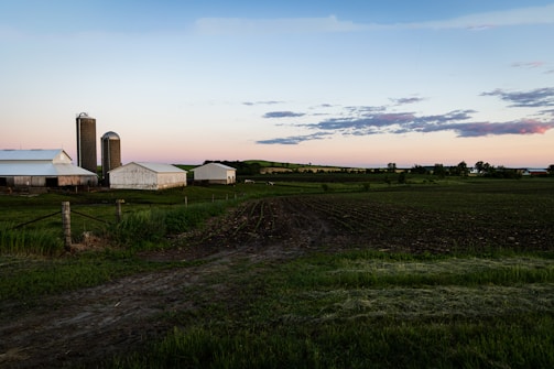 A serene farm landscape with chicken coops in the background.