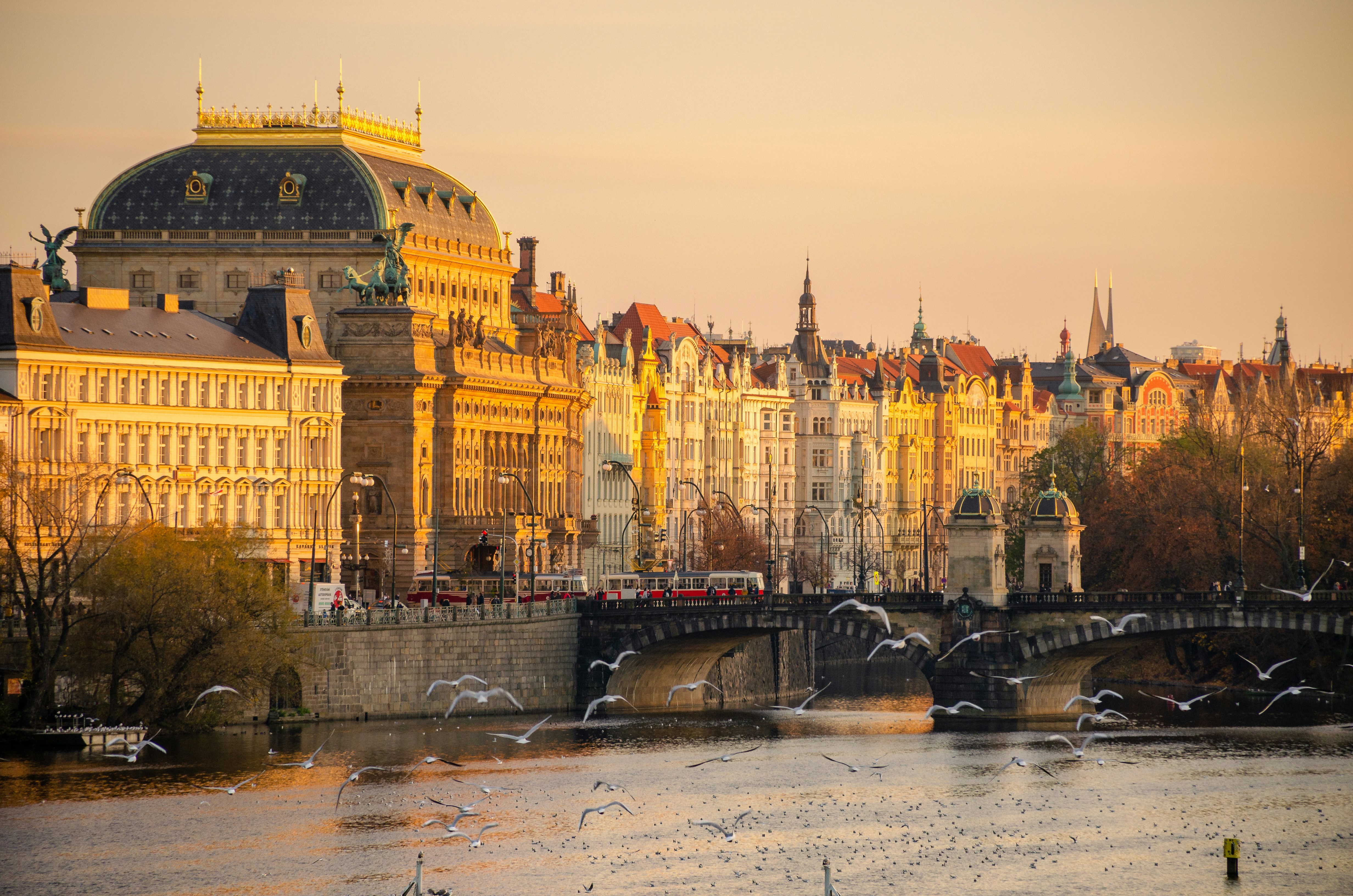 Photo by osaidhashmi31