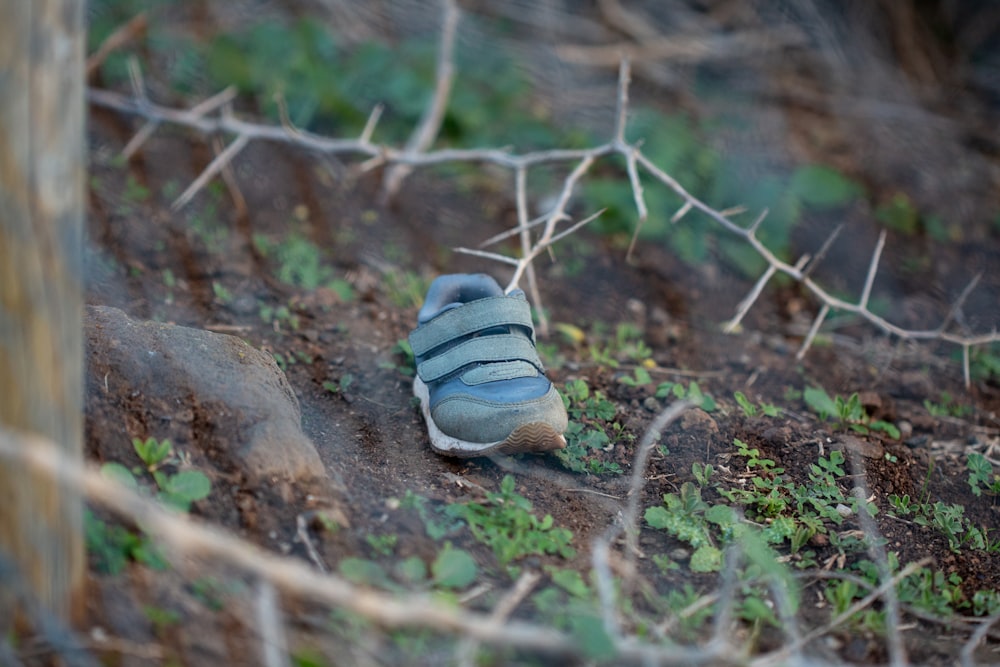 a small shoe on the ground