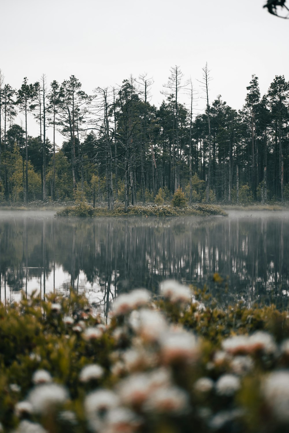 Un lago con árboles al fondo
