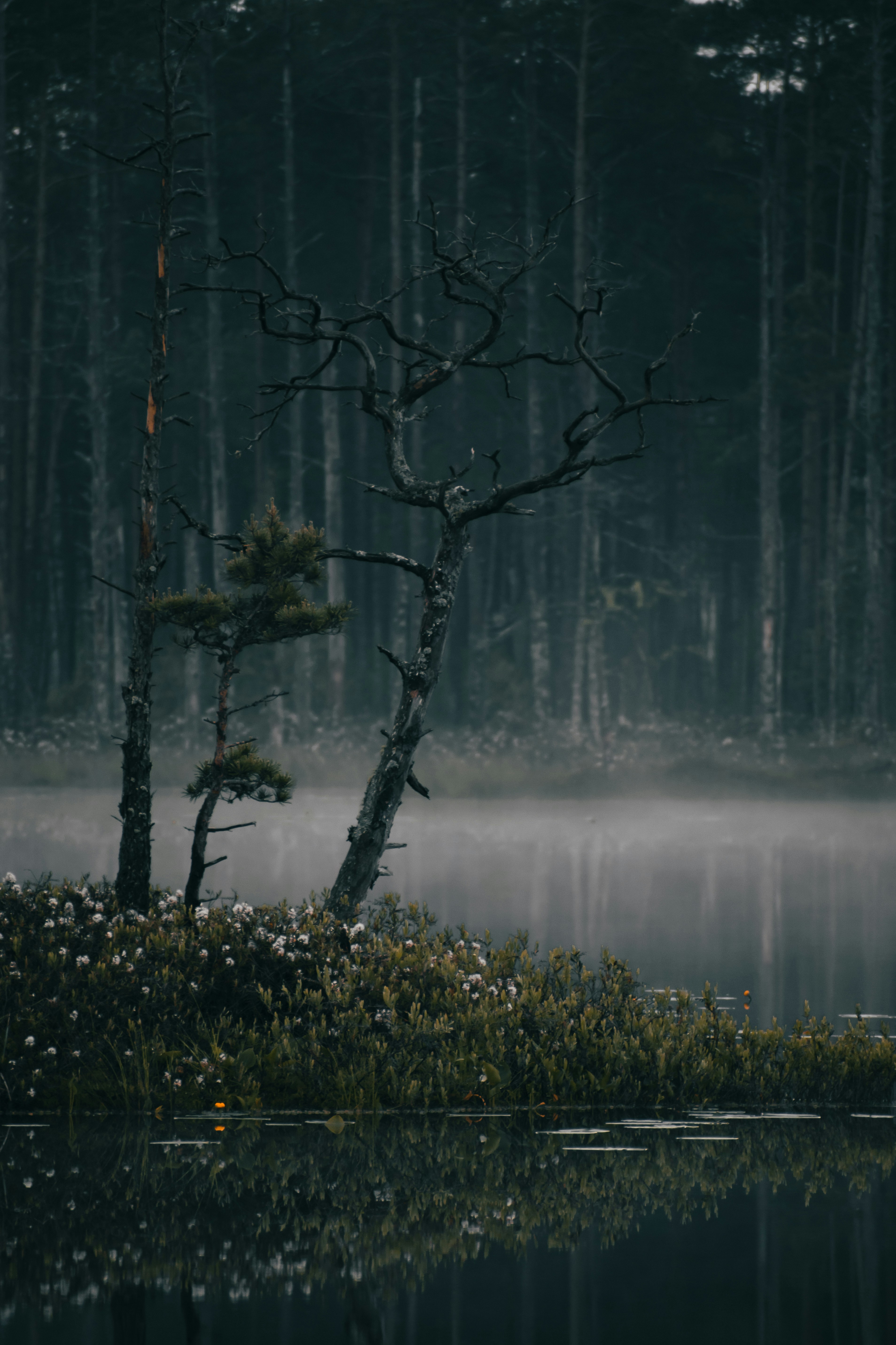 Photo by christina_kozak