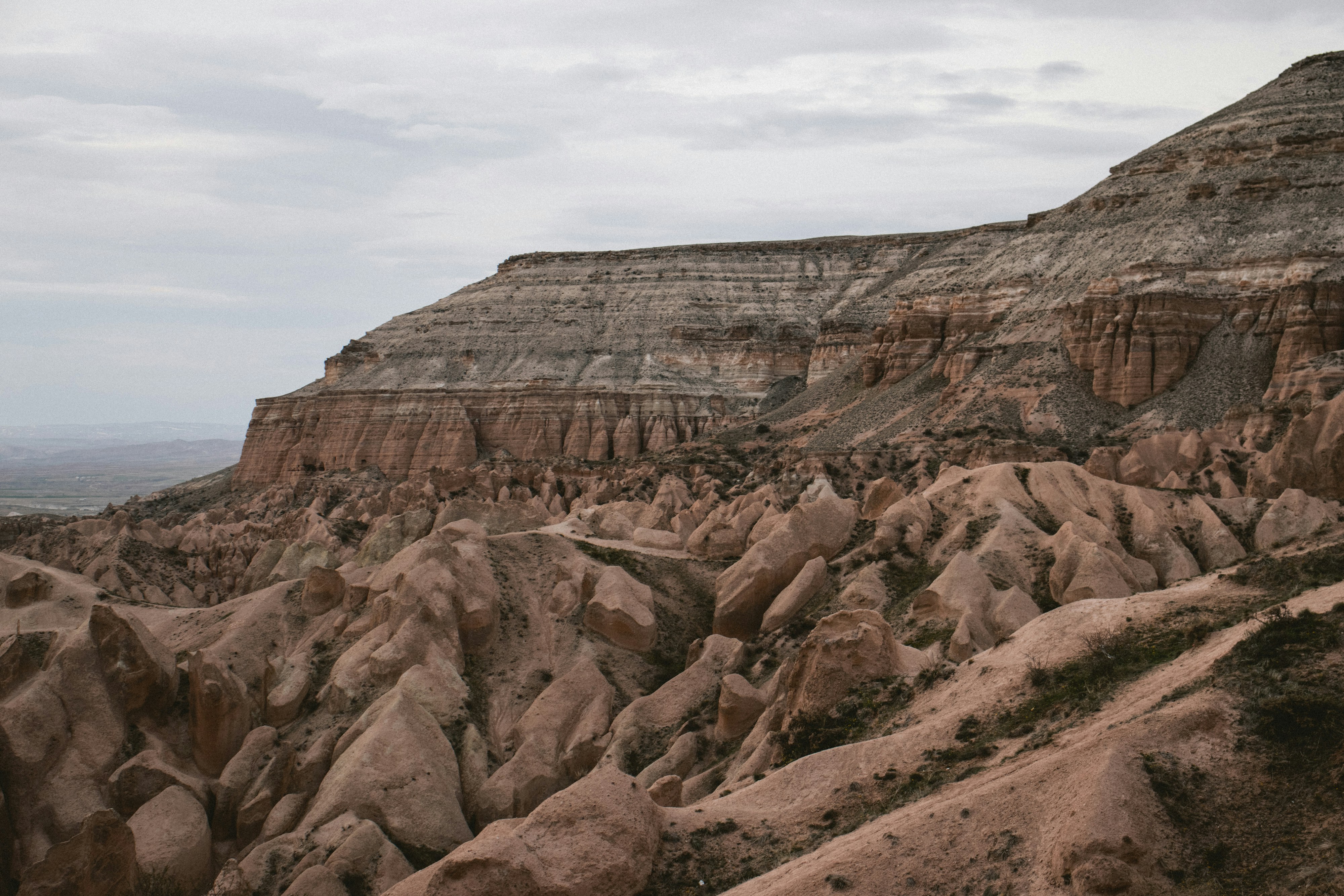 Photo by korobovaphoto