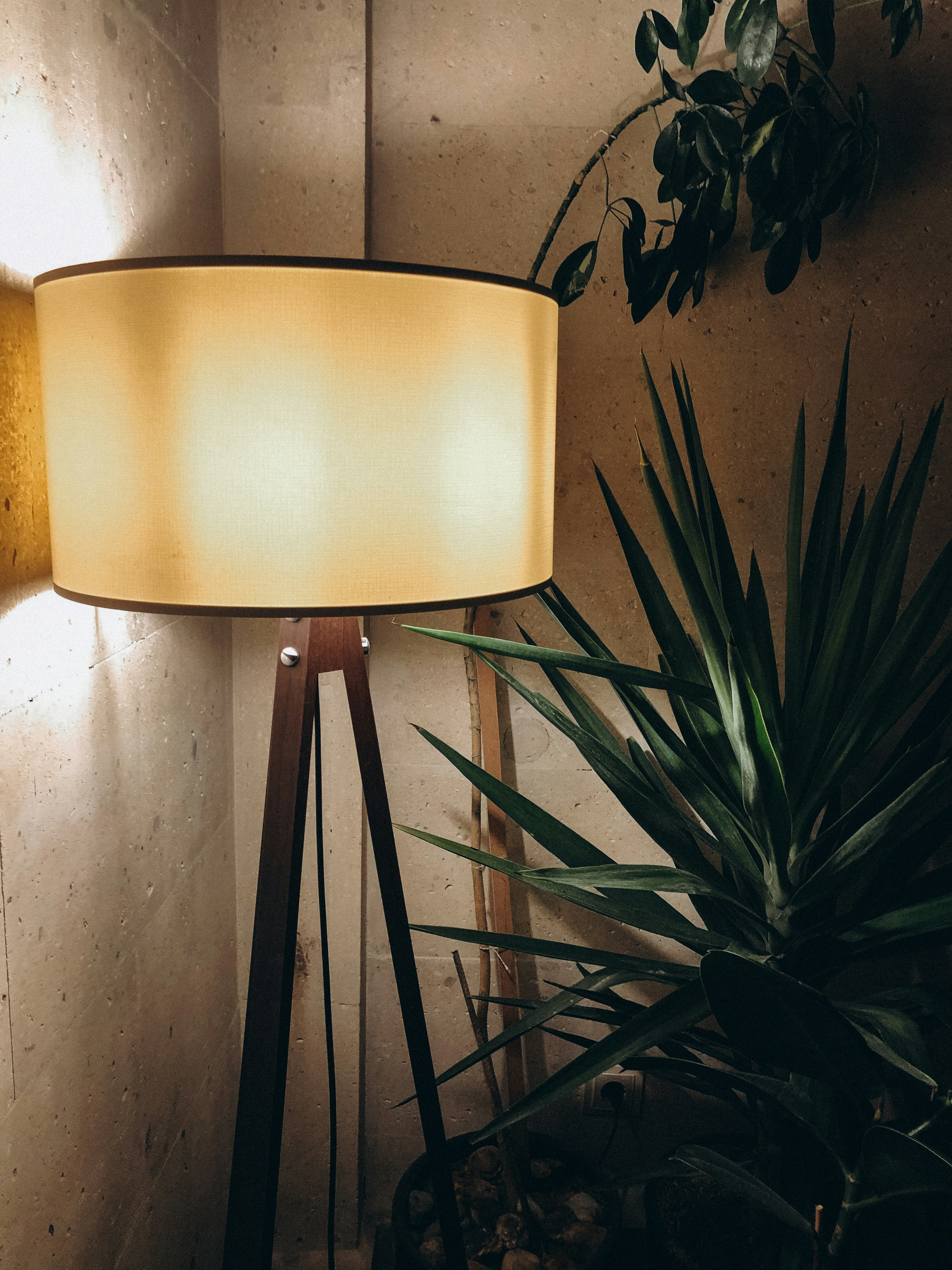 Photo by korobovaphoto