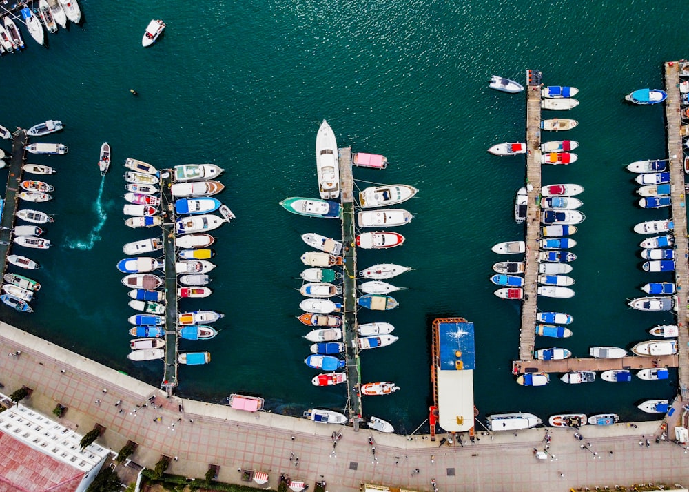 a dock with many boats on it