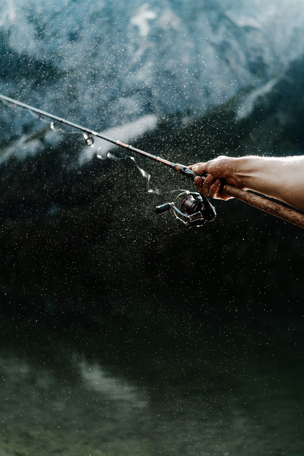 une canne à pêche et une canne à pêche