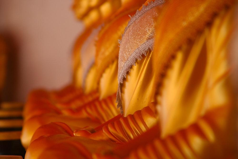 a close up of a pile of pasta