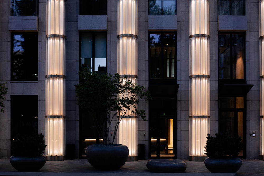 a building with pillars and plants