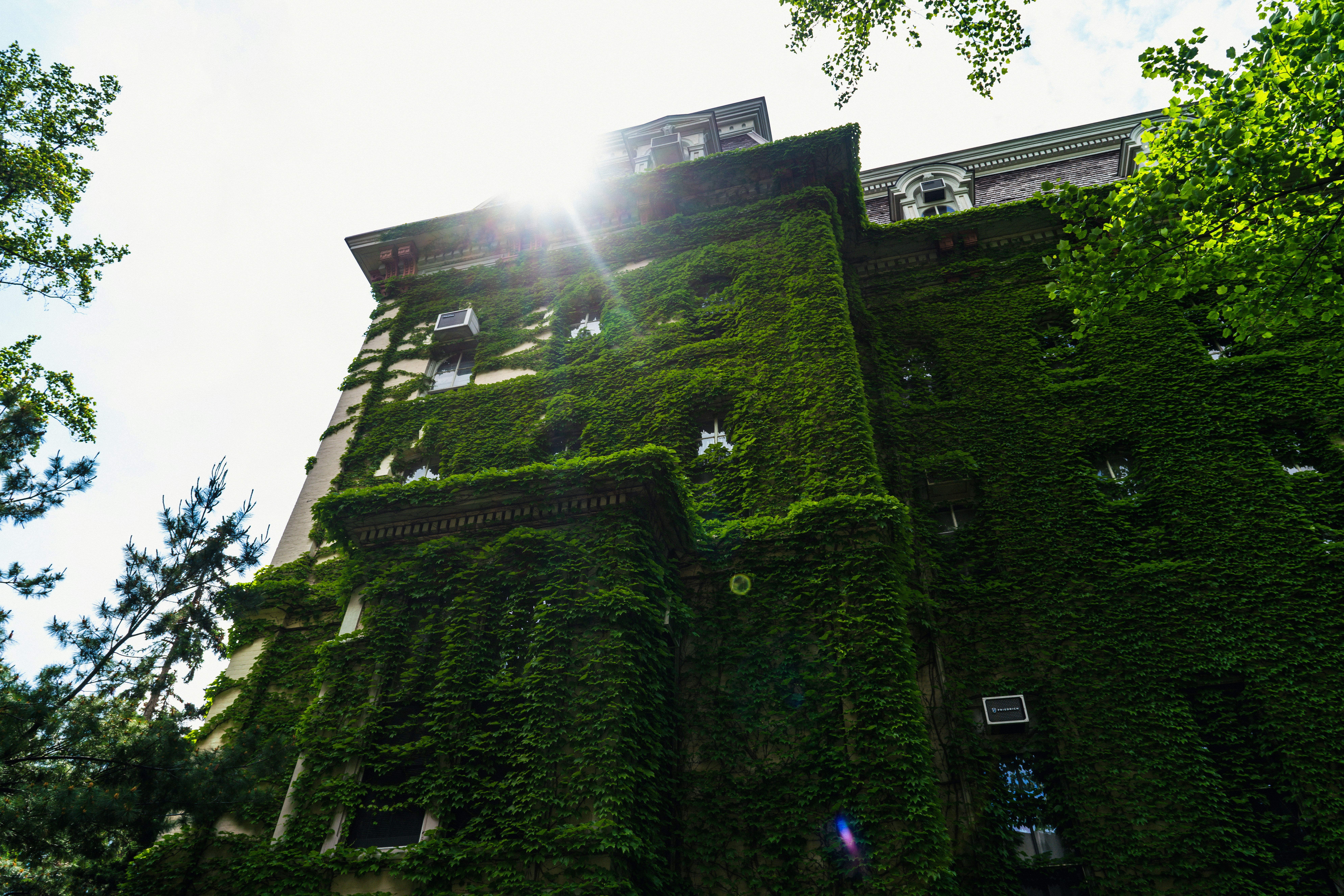 Photo by mosesmroldan