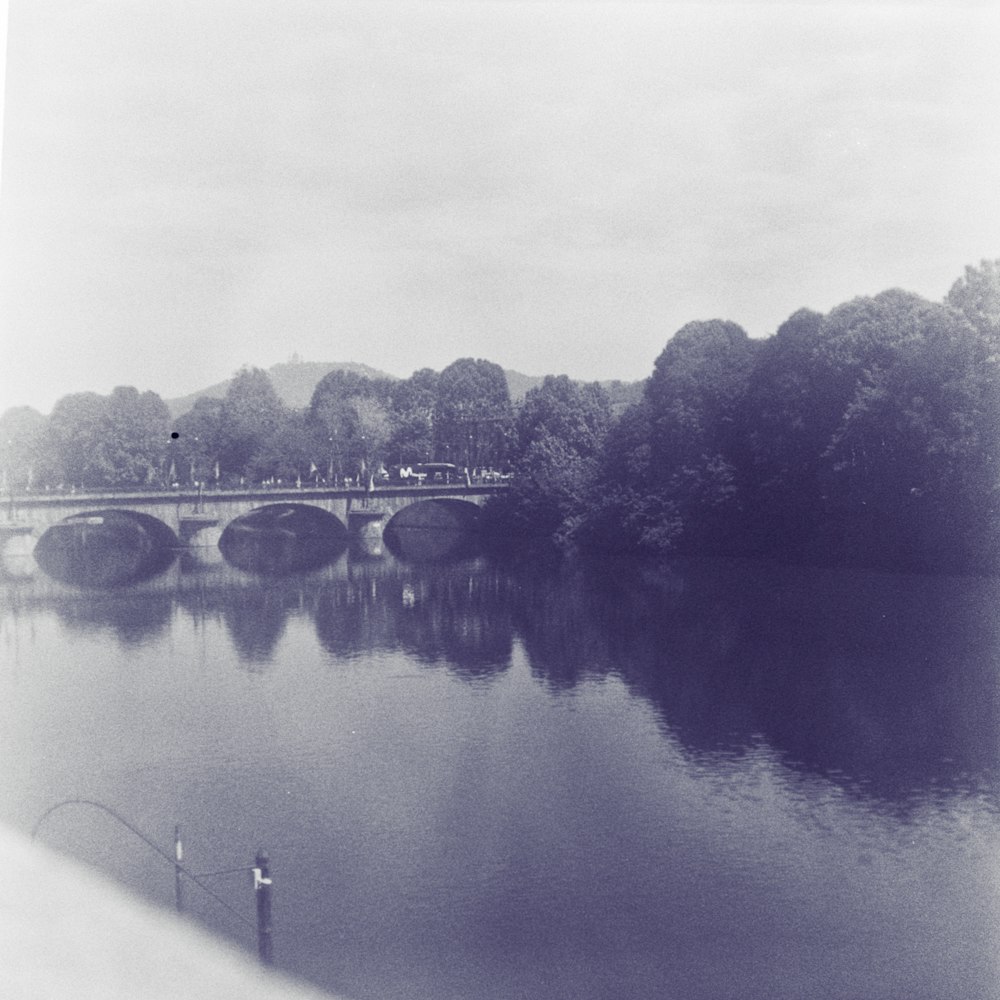 a body of water with trees around it