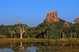 a body of water with trees and a mountain in the background