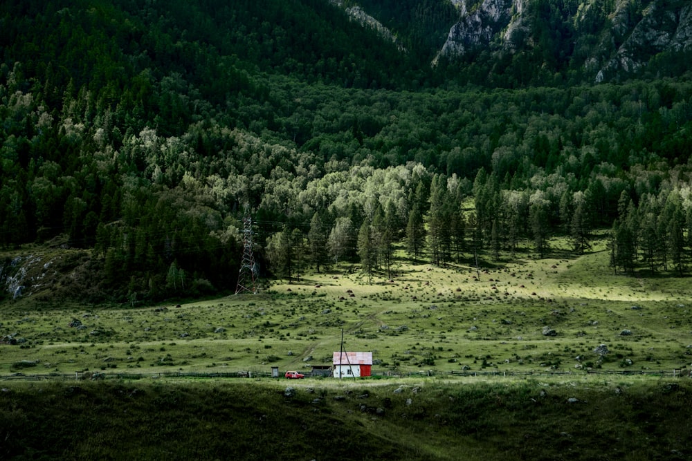 a small house in a field of grass with trees in the background