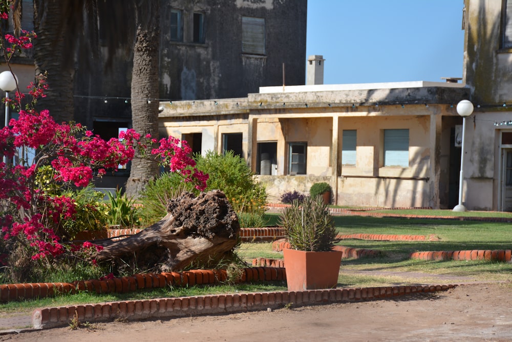 une grande maison avec un grand jardin