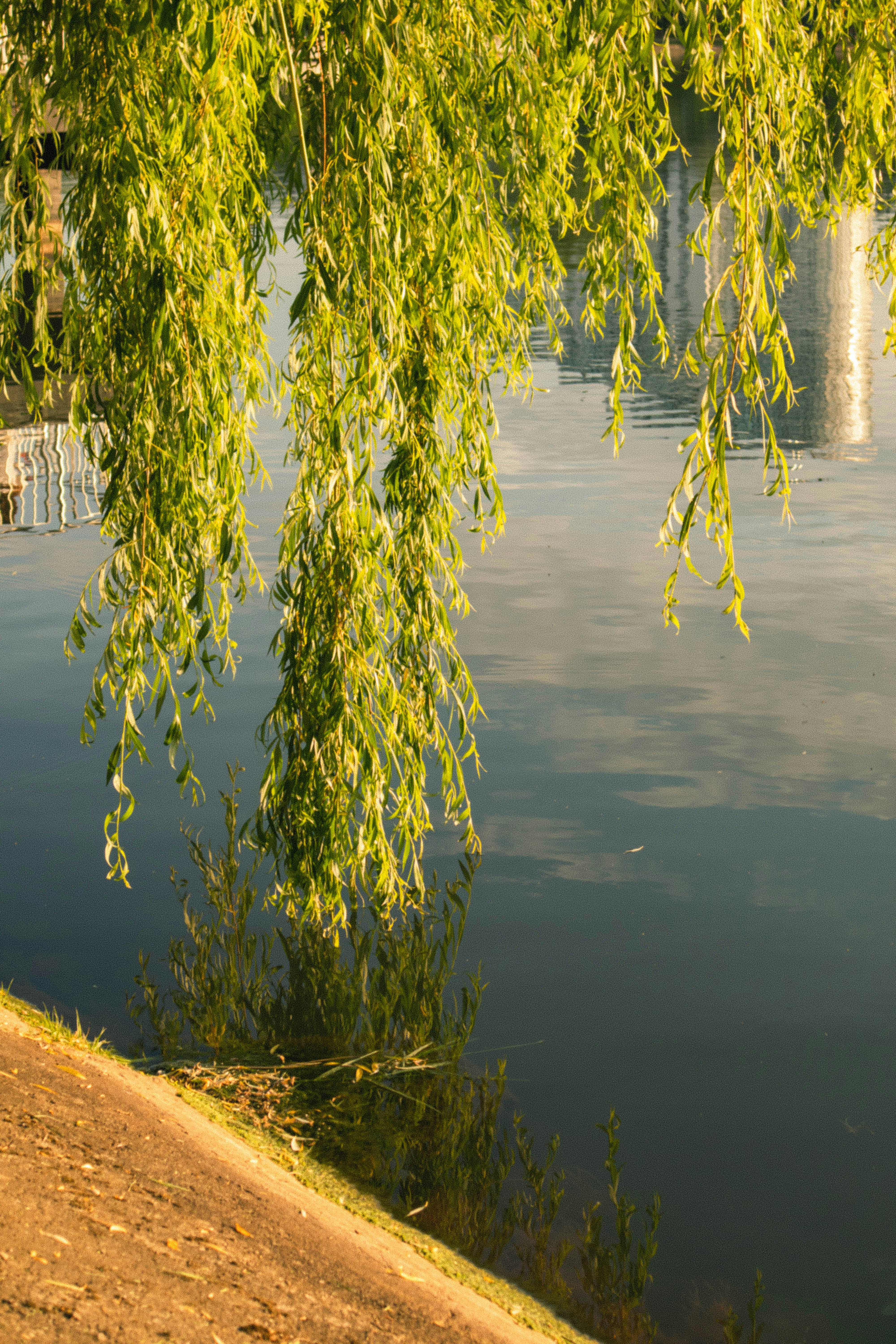 Photo by taraschuiko