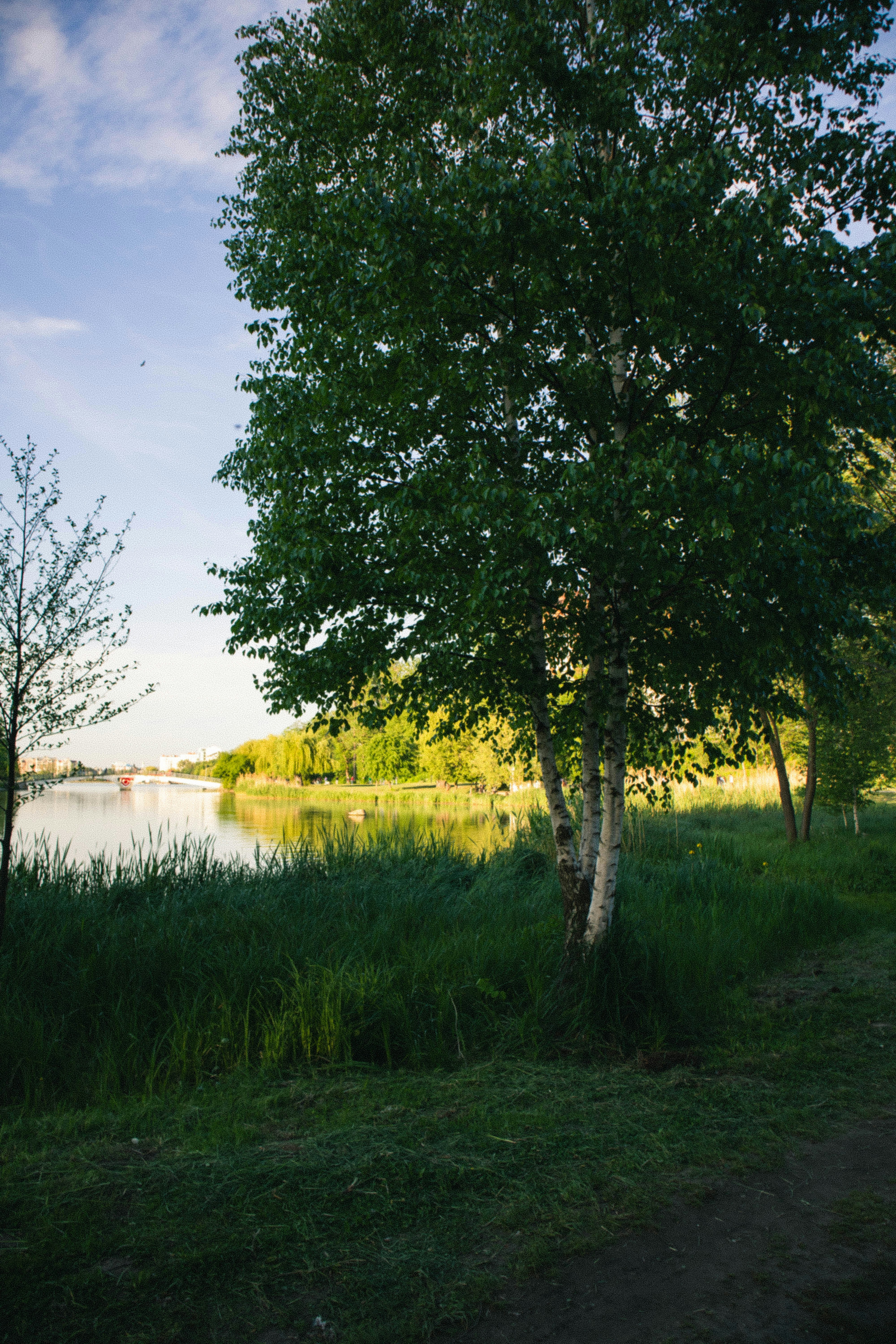 Photo by taraschuiko