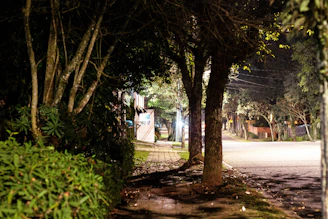 Evening view of Arbor Estate with street lamps and quiet roads.
