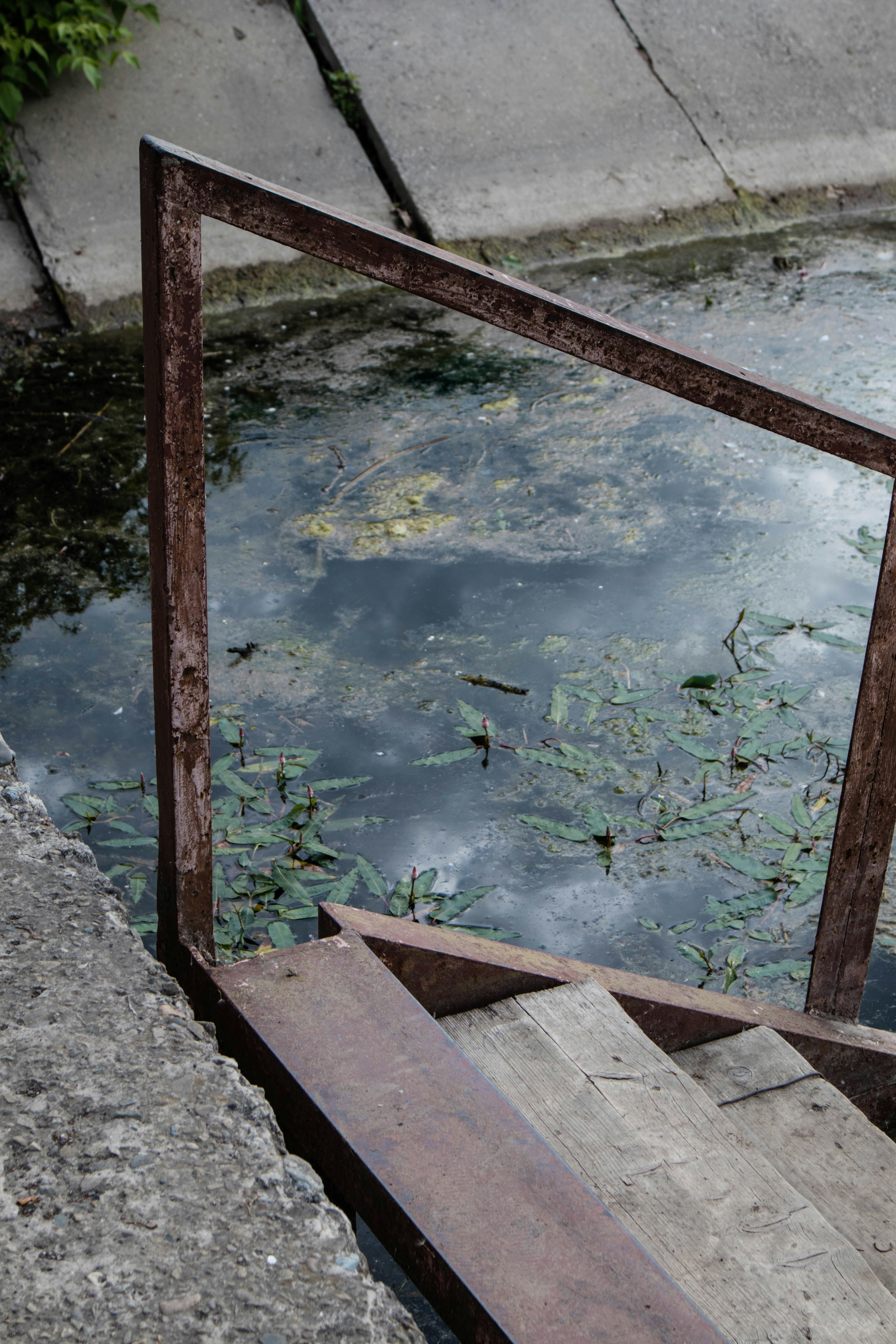 Photo by taraschuiko