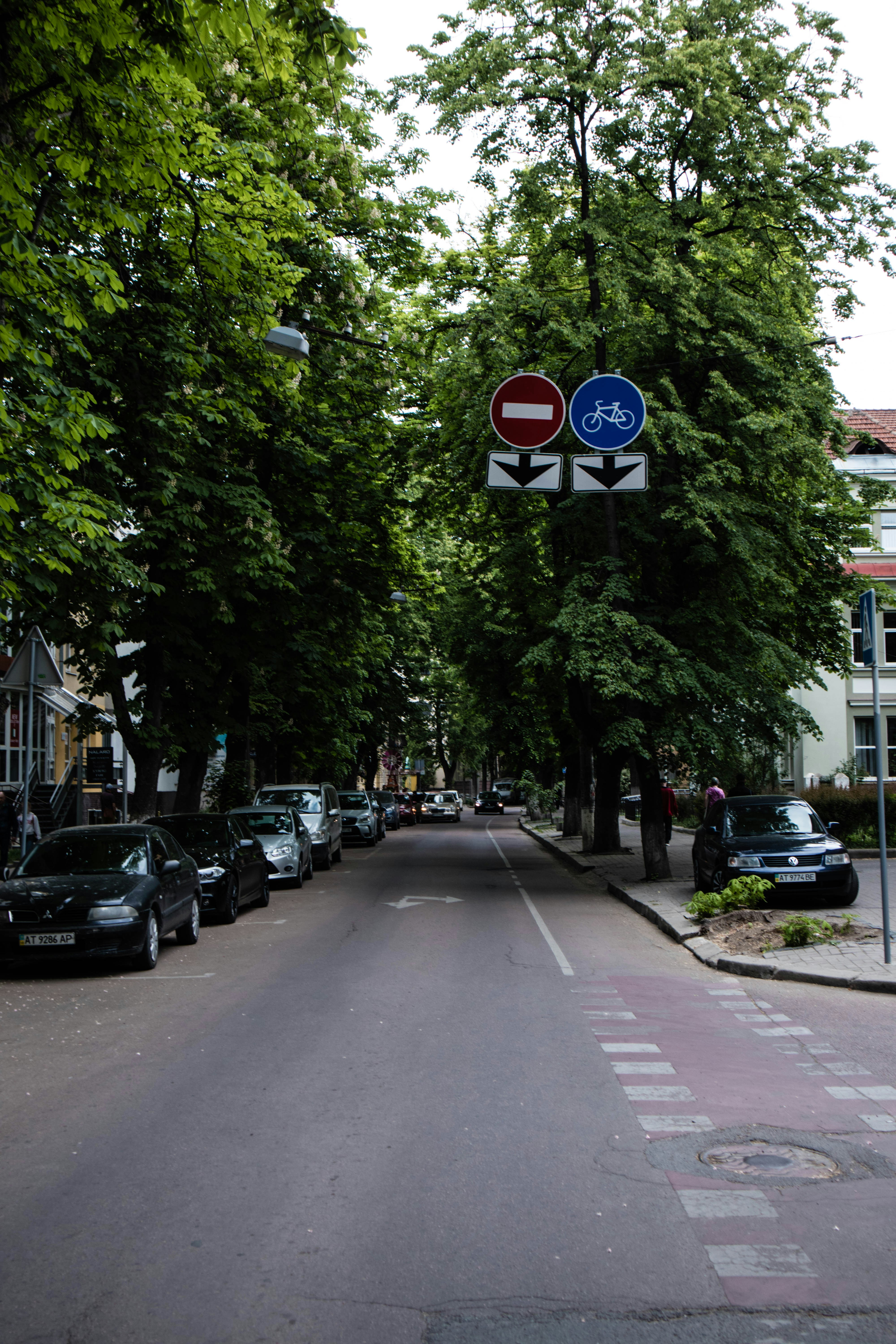 a street sign is posted on a pole