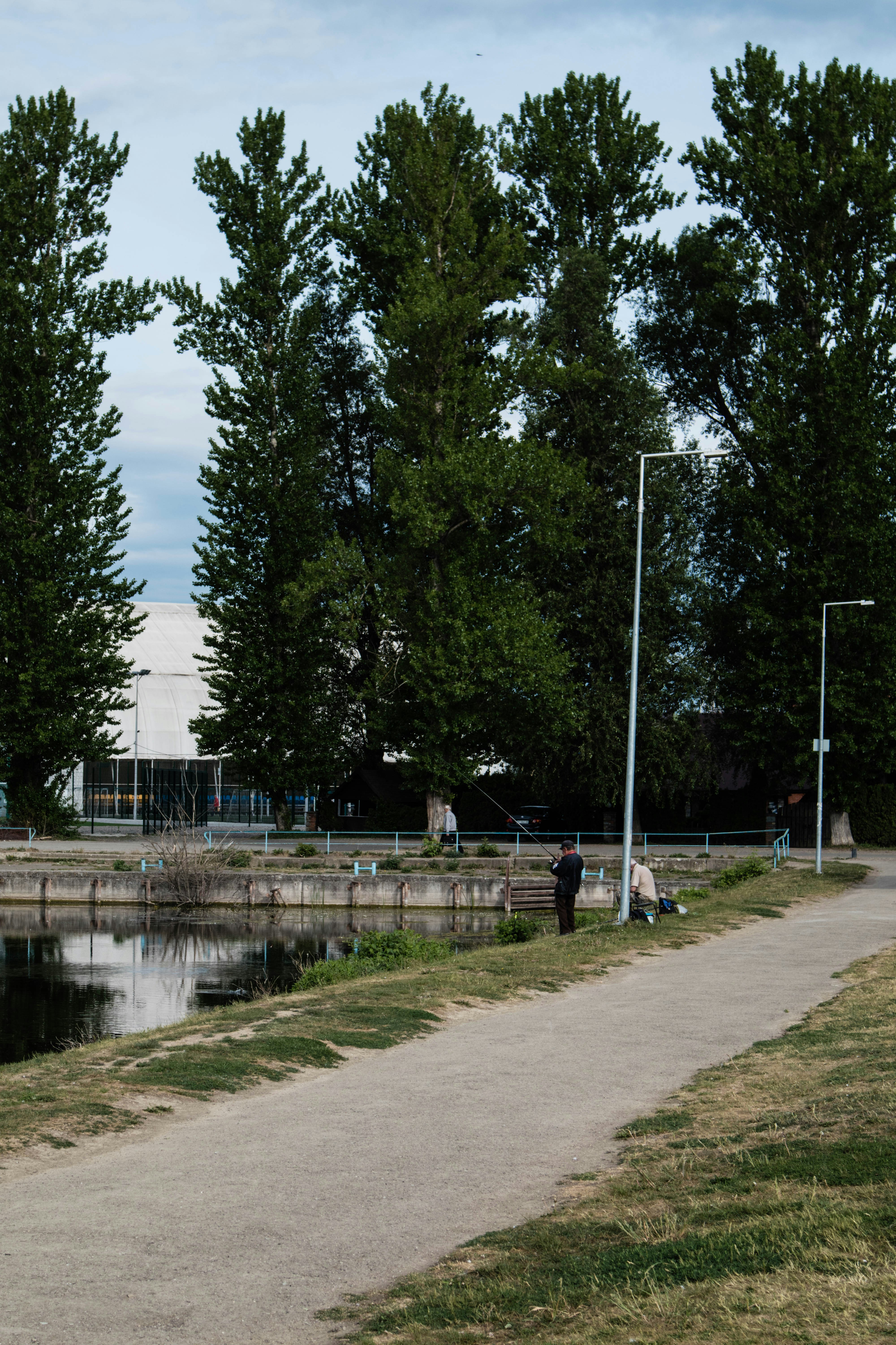 un chemin arboré et un bâtiment en arrière-plan