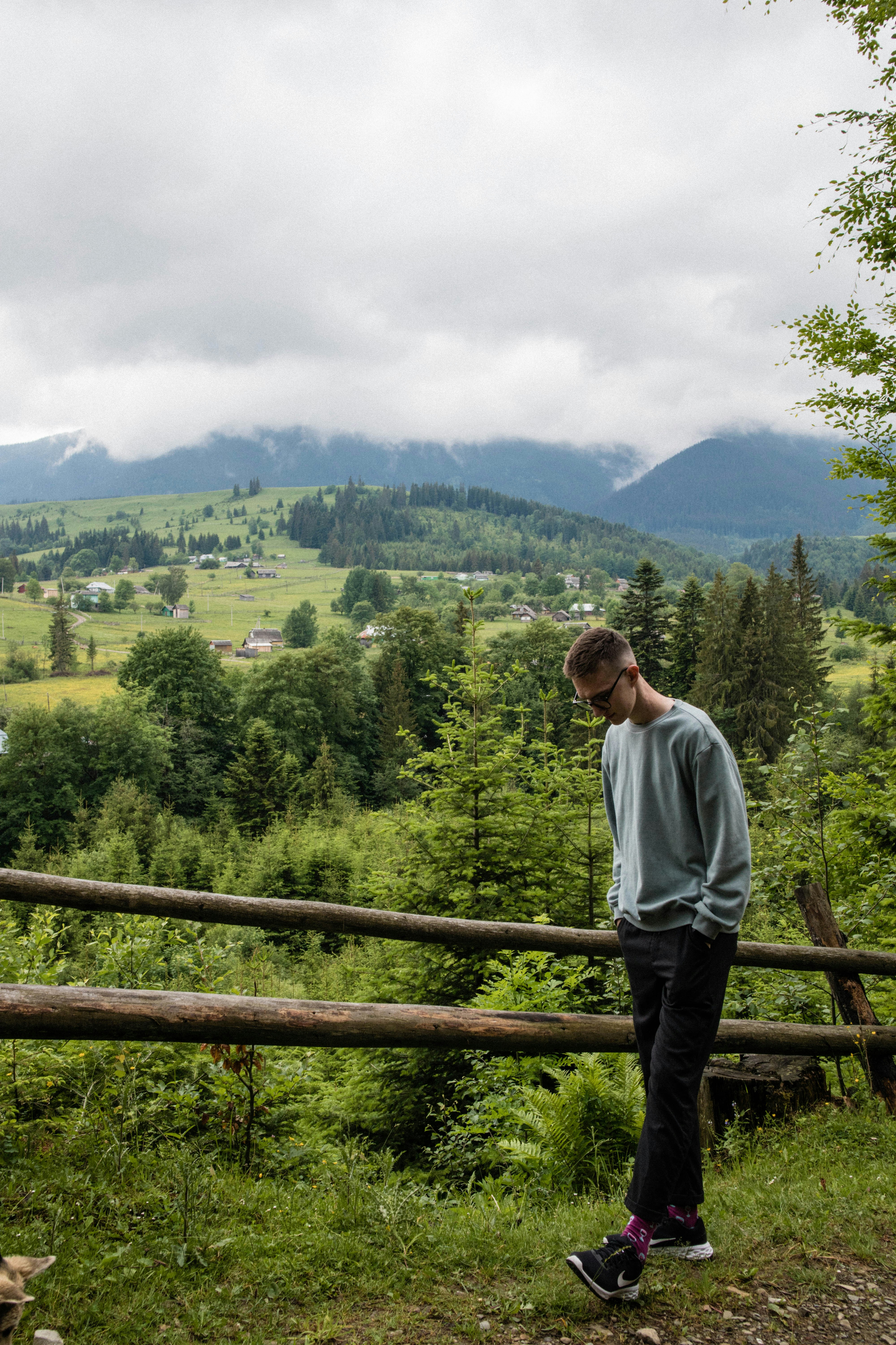 a man standing on a fence overlooking a valley with trees and mountains