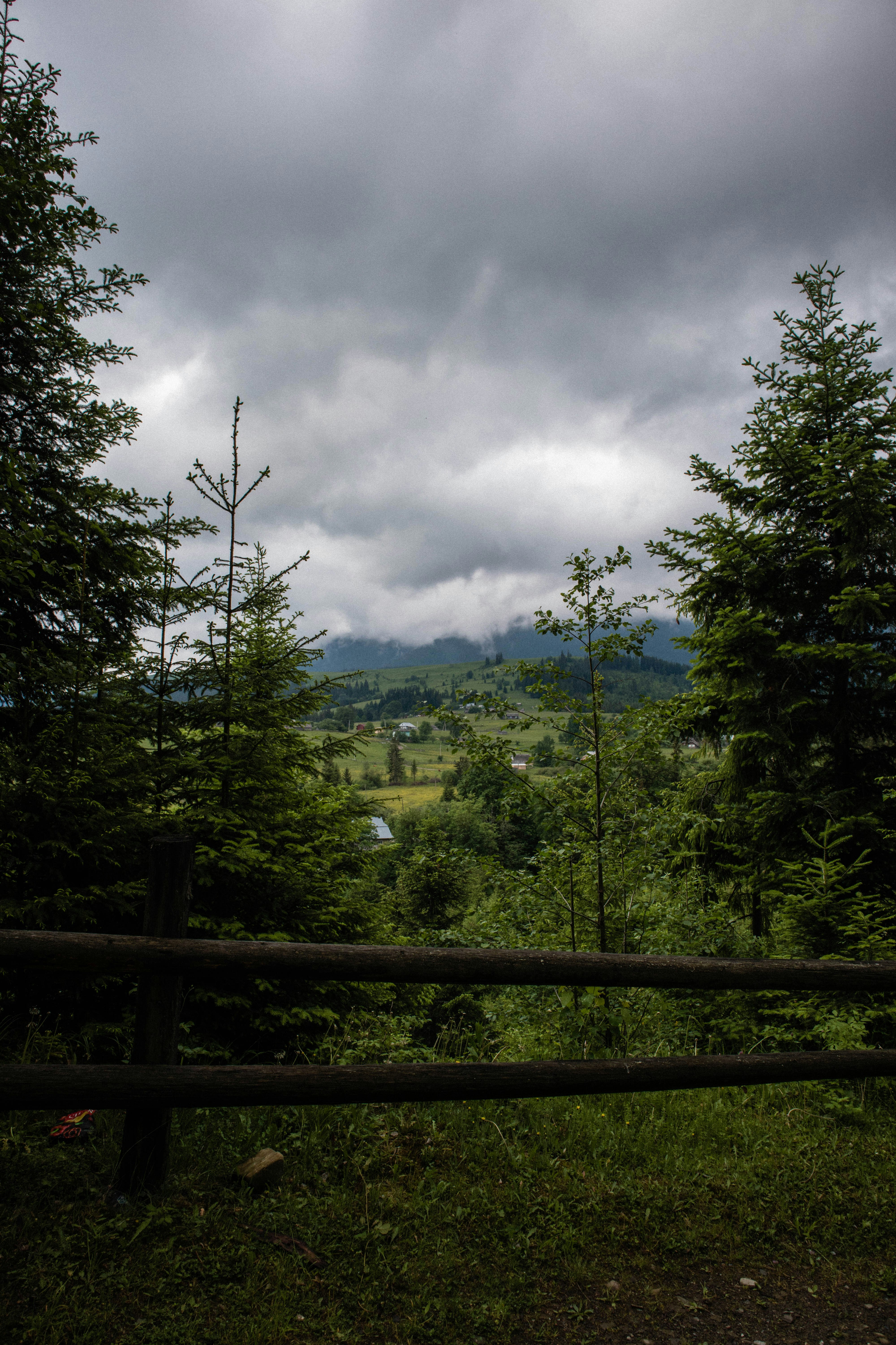 Photo by taraschuiko