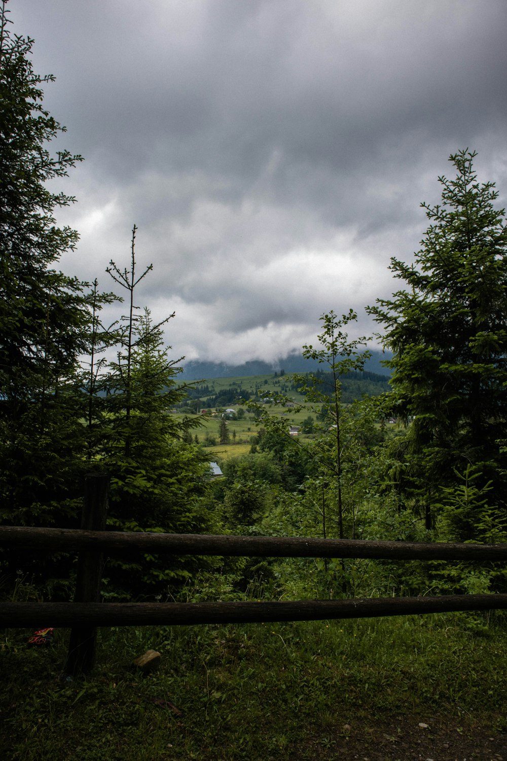 a fence with trees and a field in the background