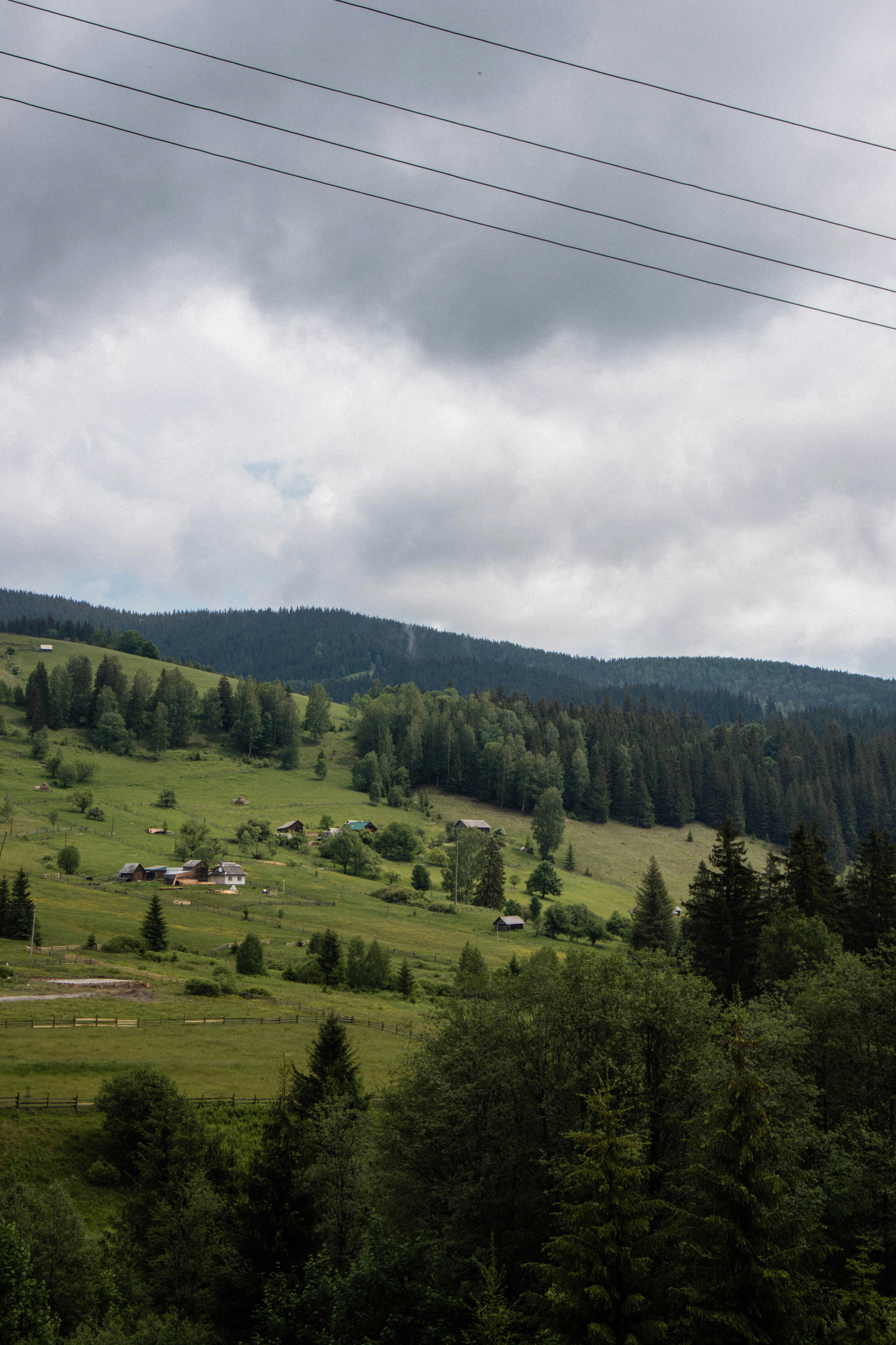 Photo by taraschuiko