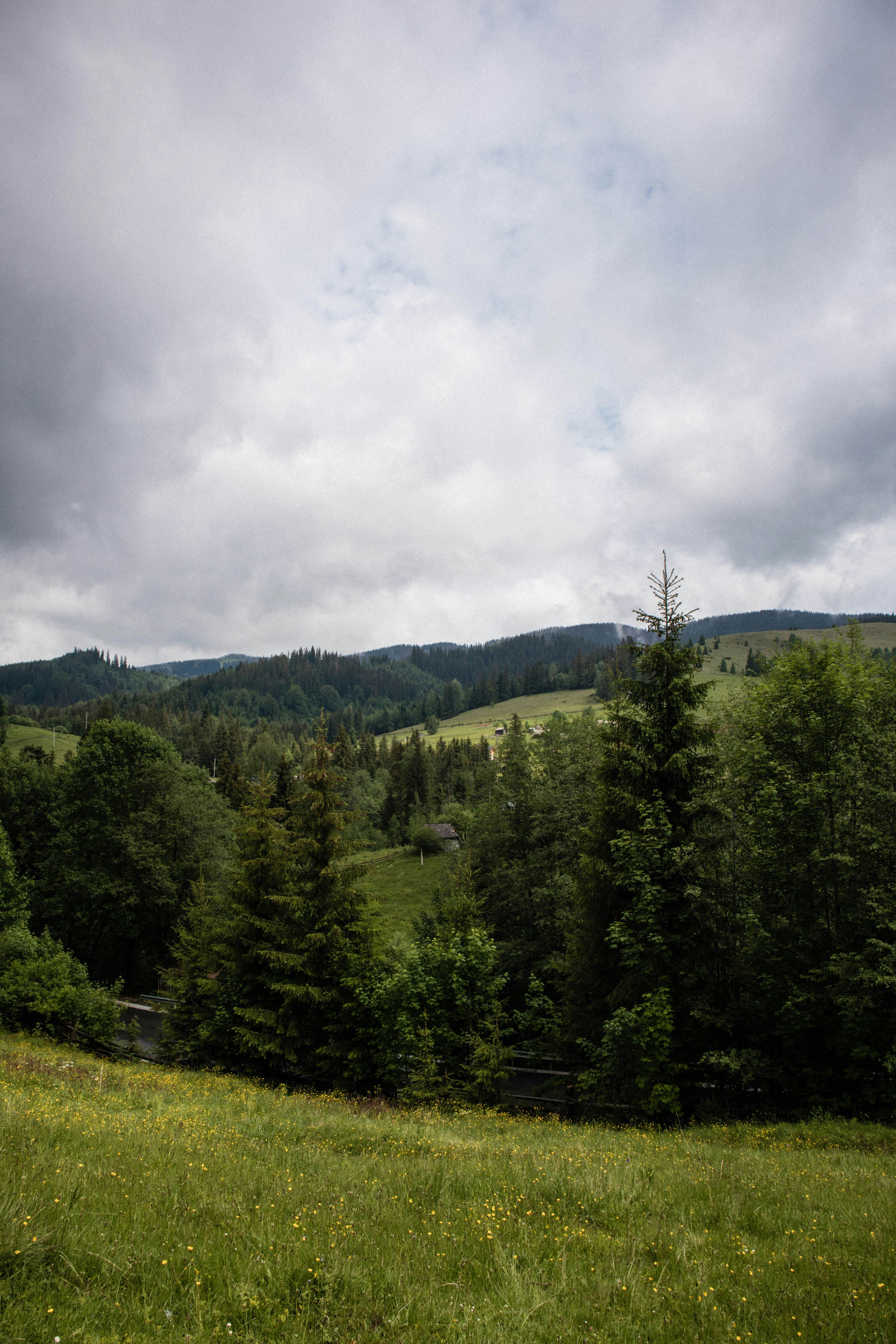 Photo by taraschuiko