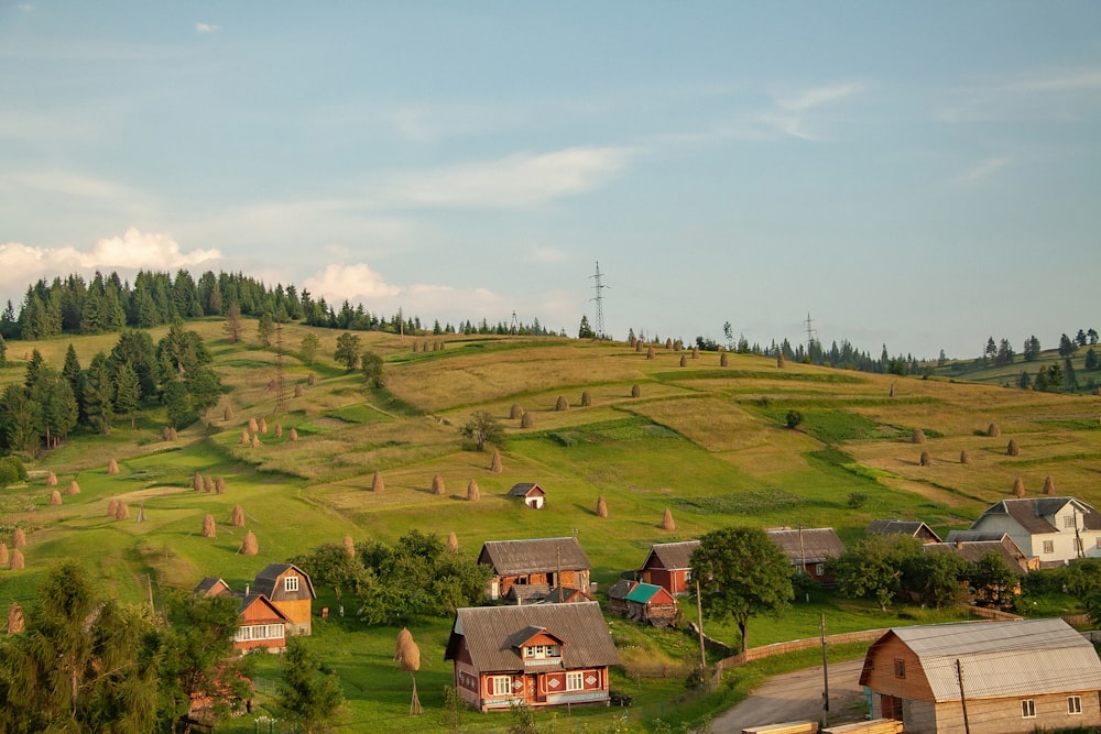 a group of houses in a valley