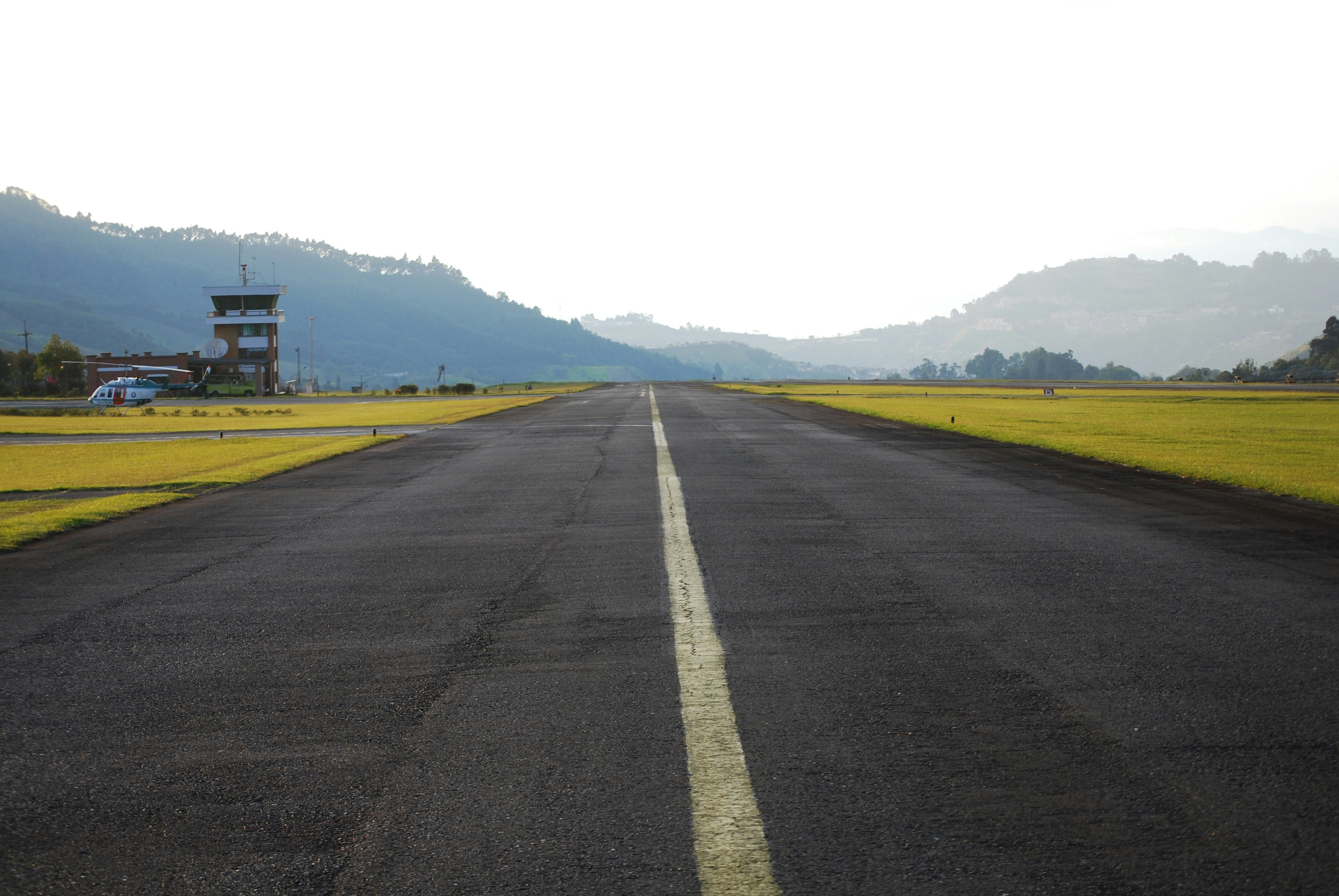 a road with yellow flowers on the side, 