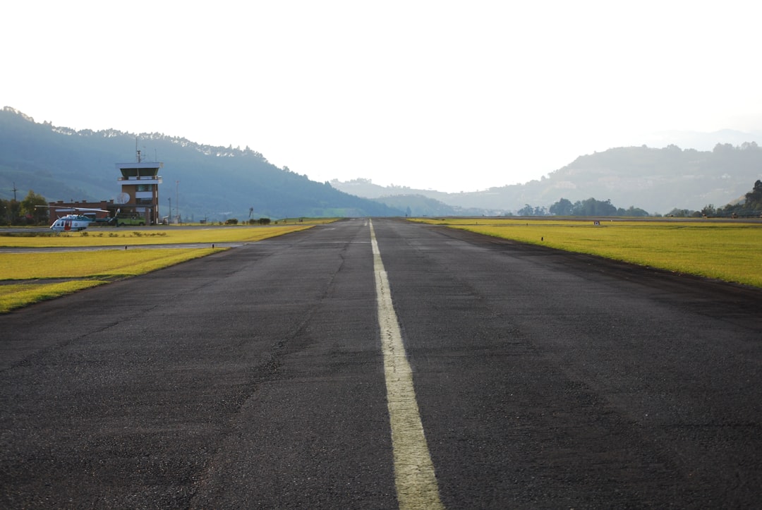 a road with yellow flowers on the side,