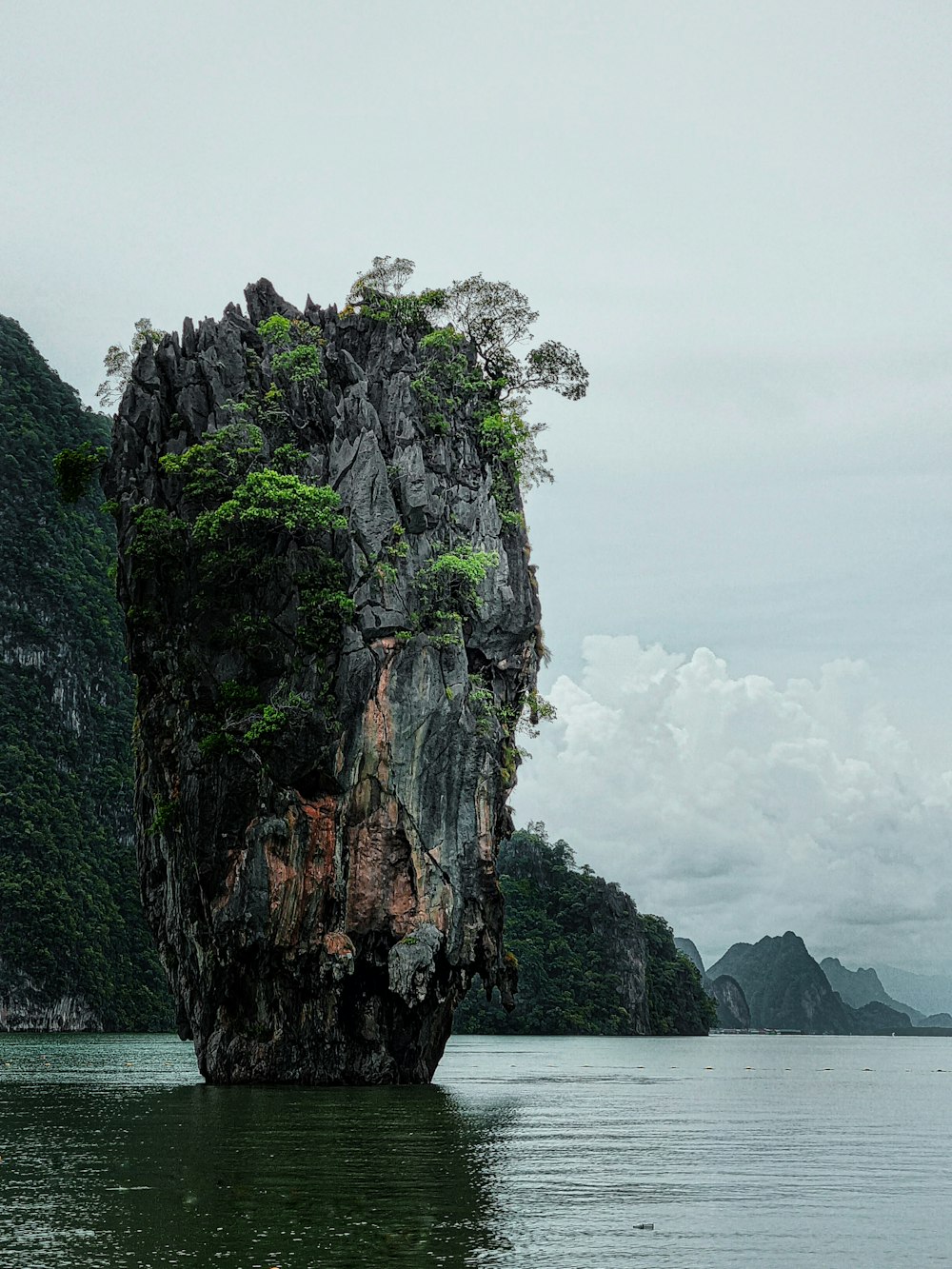 a cliff with trees on it