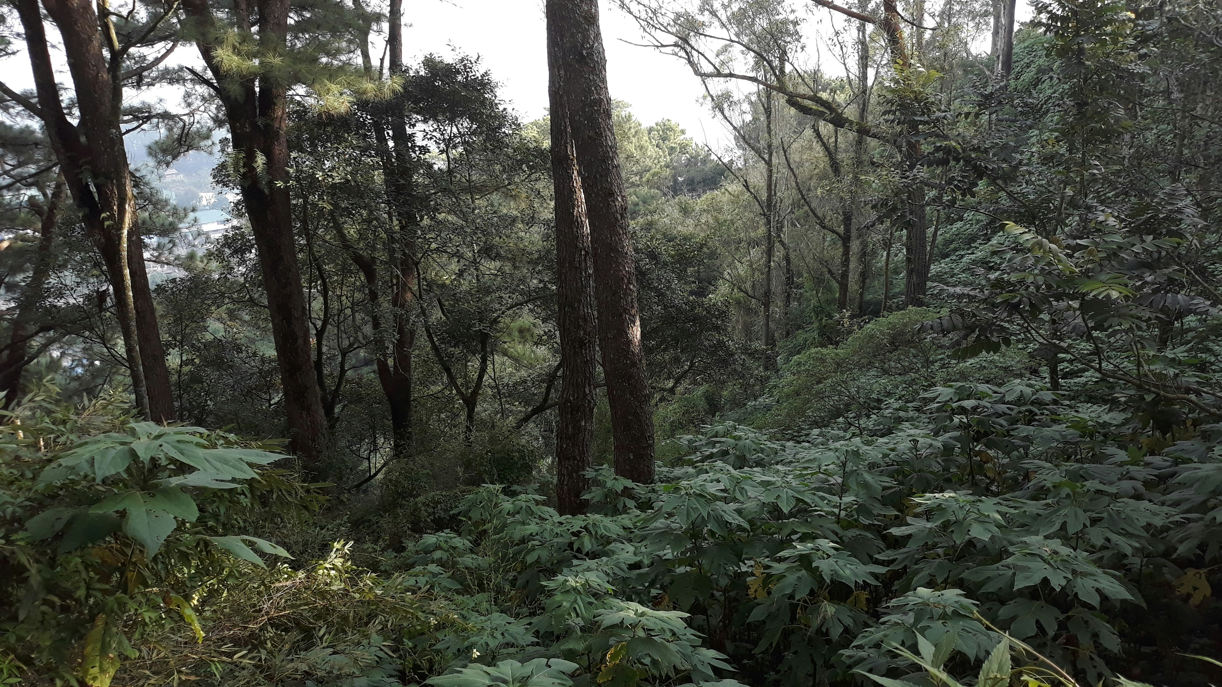 Photo by zs_intricate