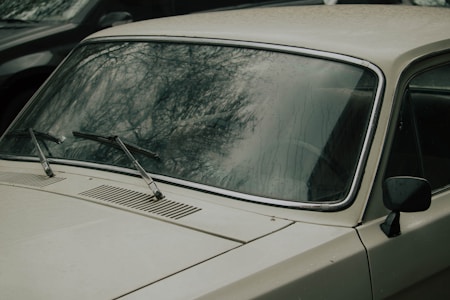 A close-up of a vintage car's windshield with wipers, reflecting bare tree branches against an overcast sky. The car body is a muted, weathered color and raindrops are visible on the glass.