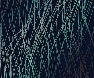 a close up of a spider web