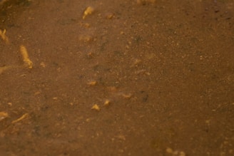 Close-up of thick sediment being extracted from a grease trap.
