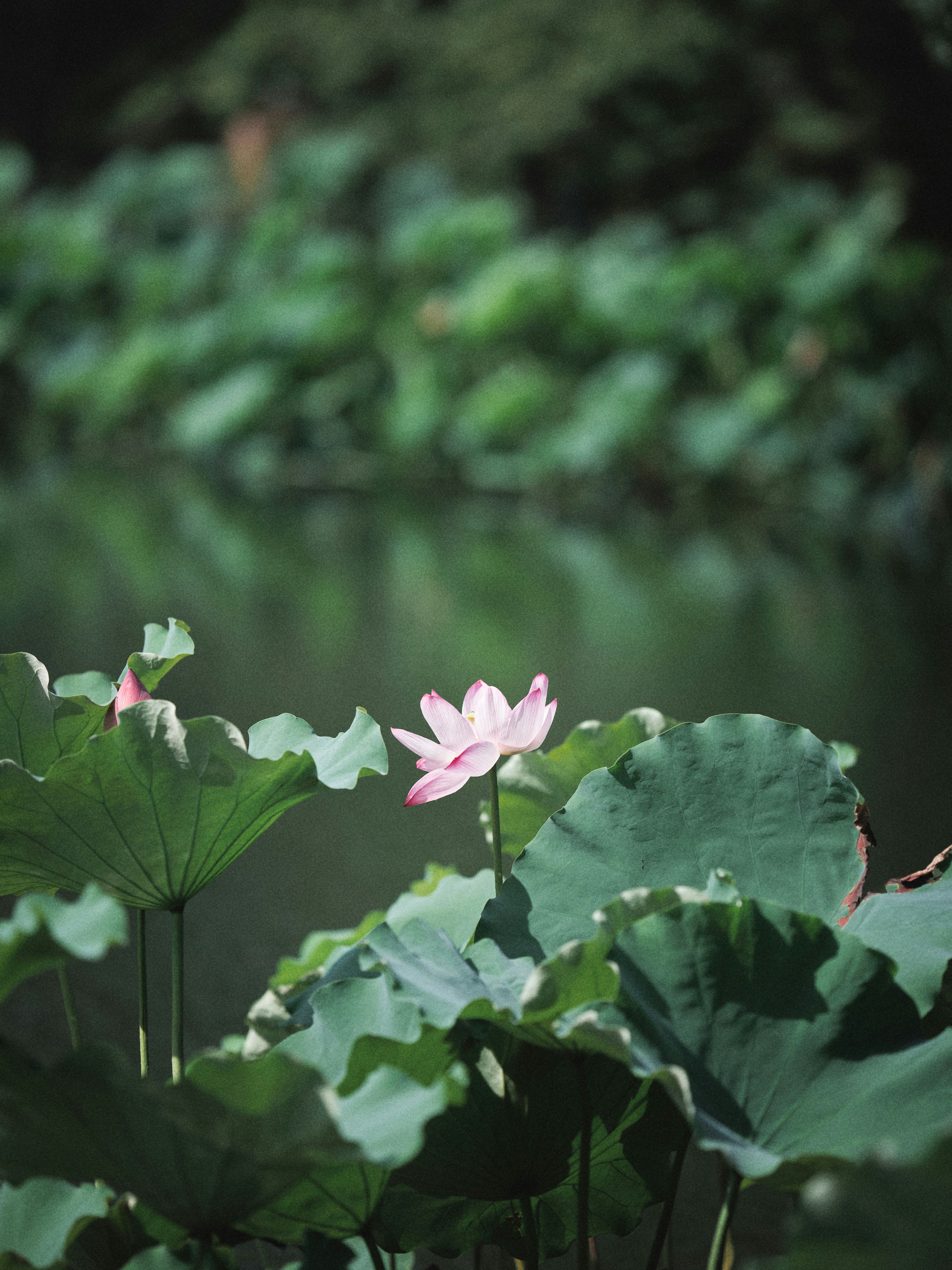 Photo by ypbehere
