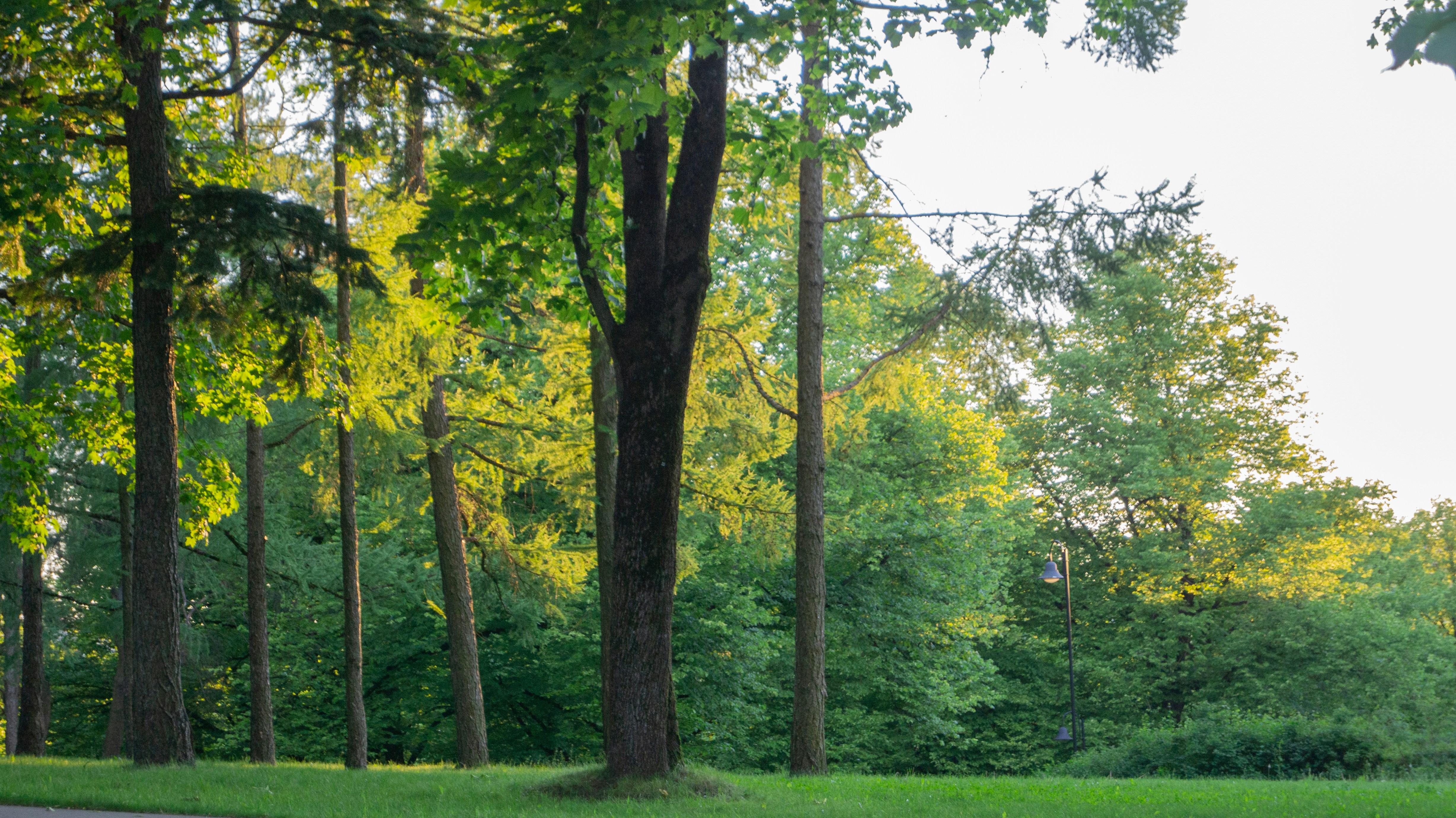 Photo by alenakalashmatina