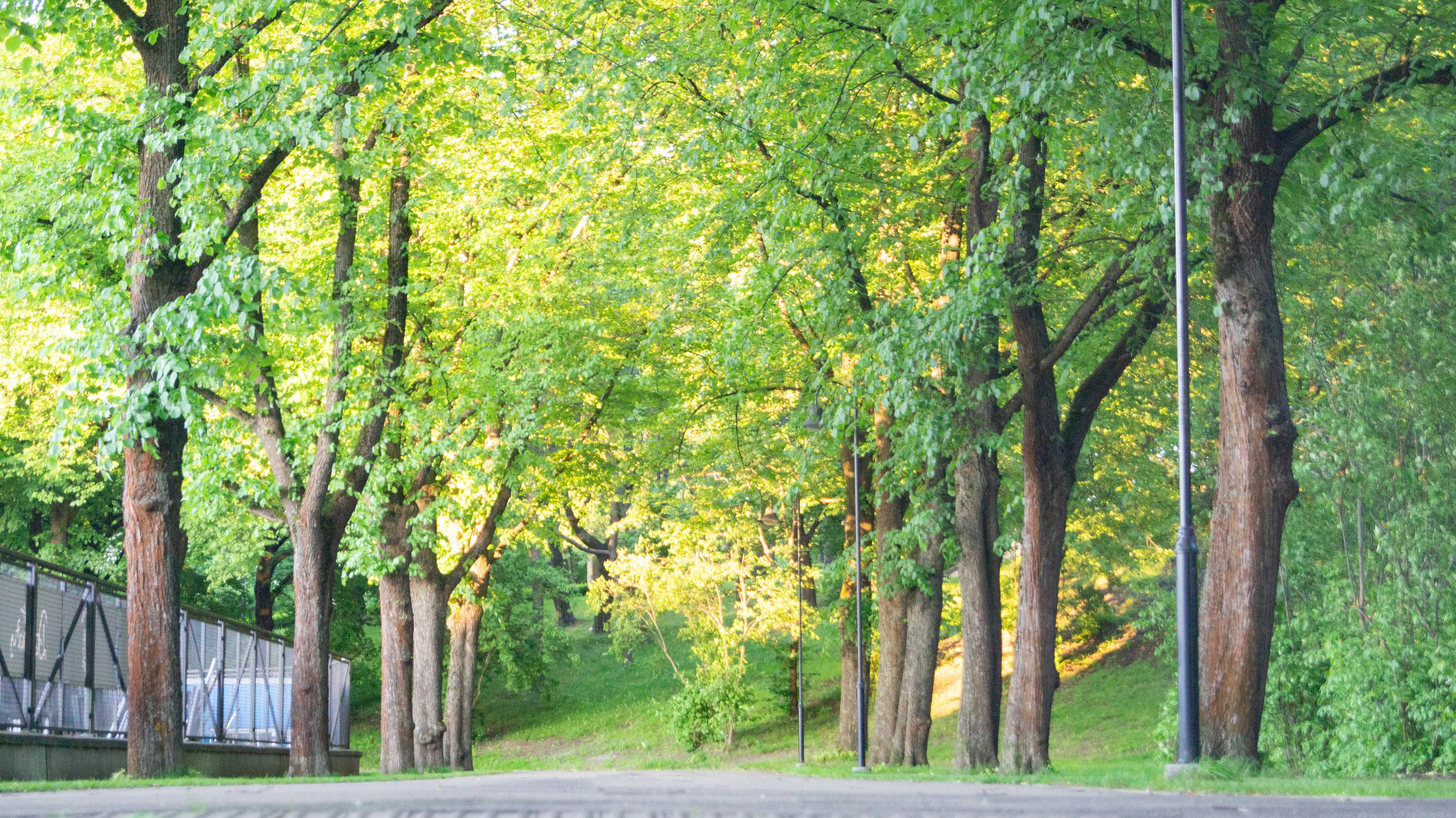 Photo by alenakalashmatina